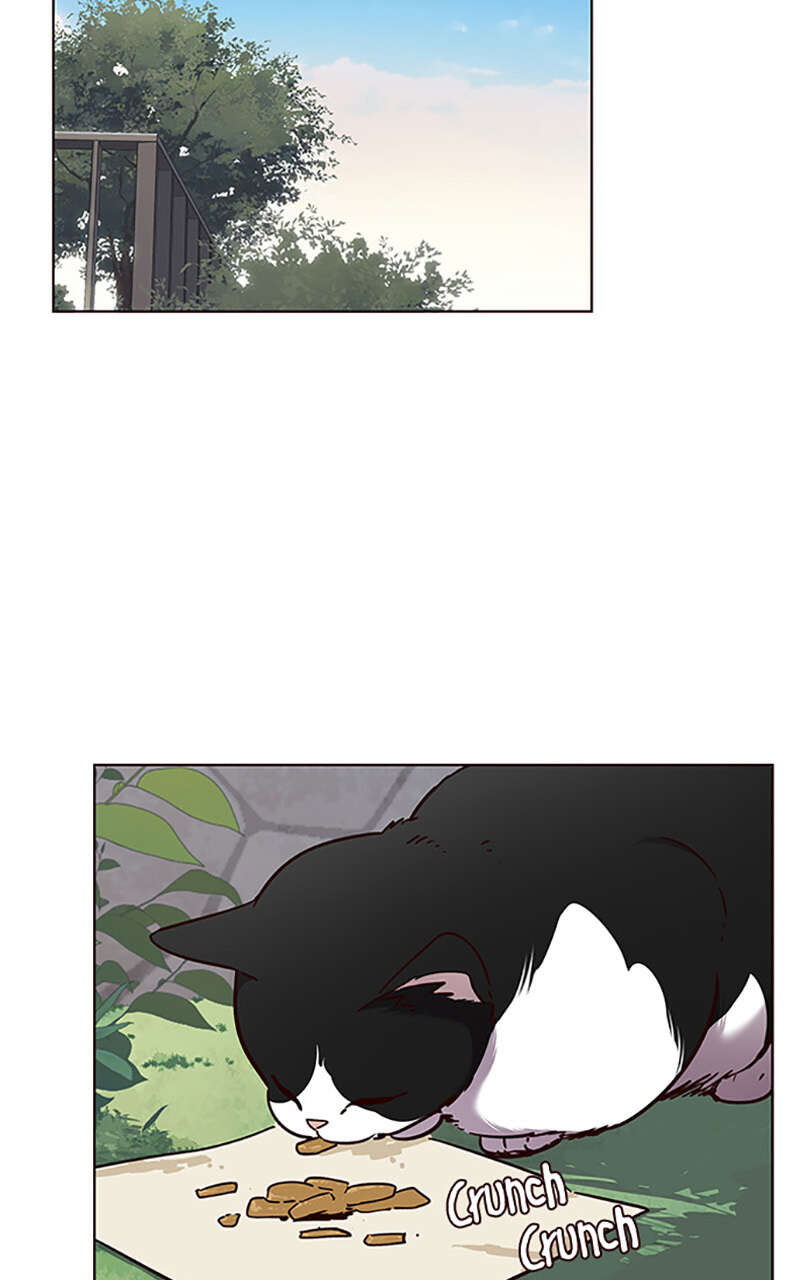 Eleceed Chapitre 57 - Page 17