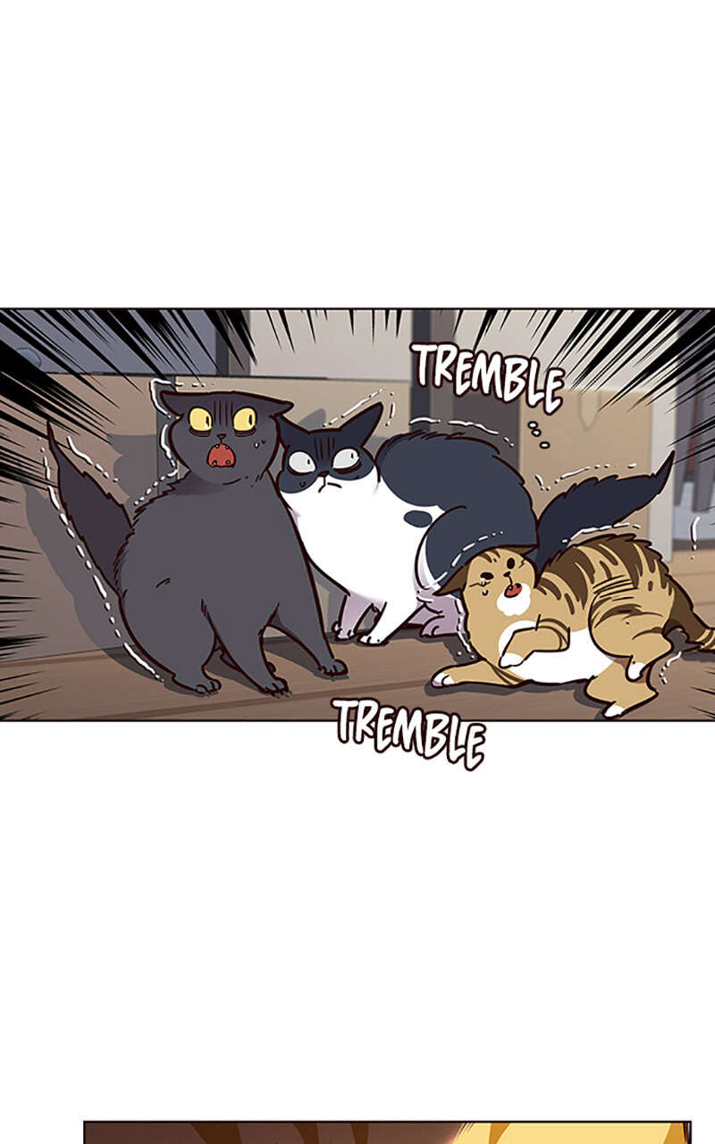 Eleceed Chapitre 58 - Page 10
