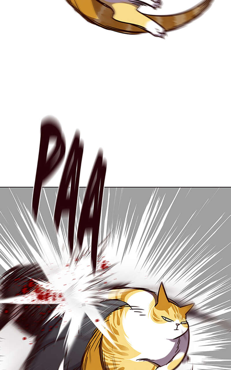 Eleceed Chapitre 58 - Page 36