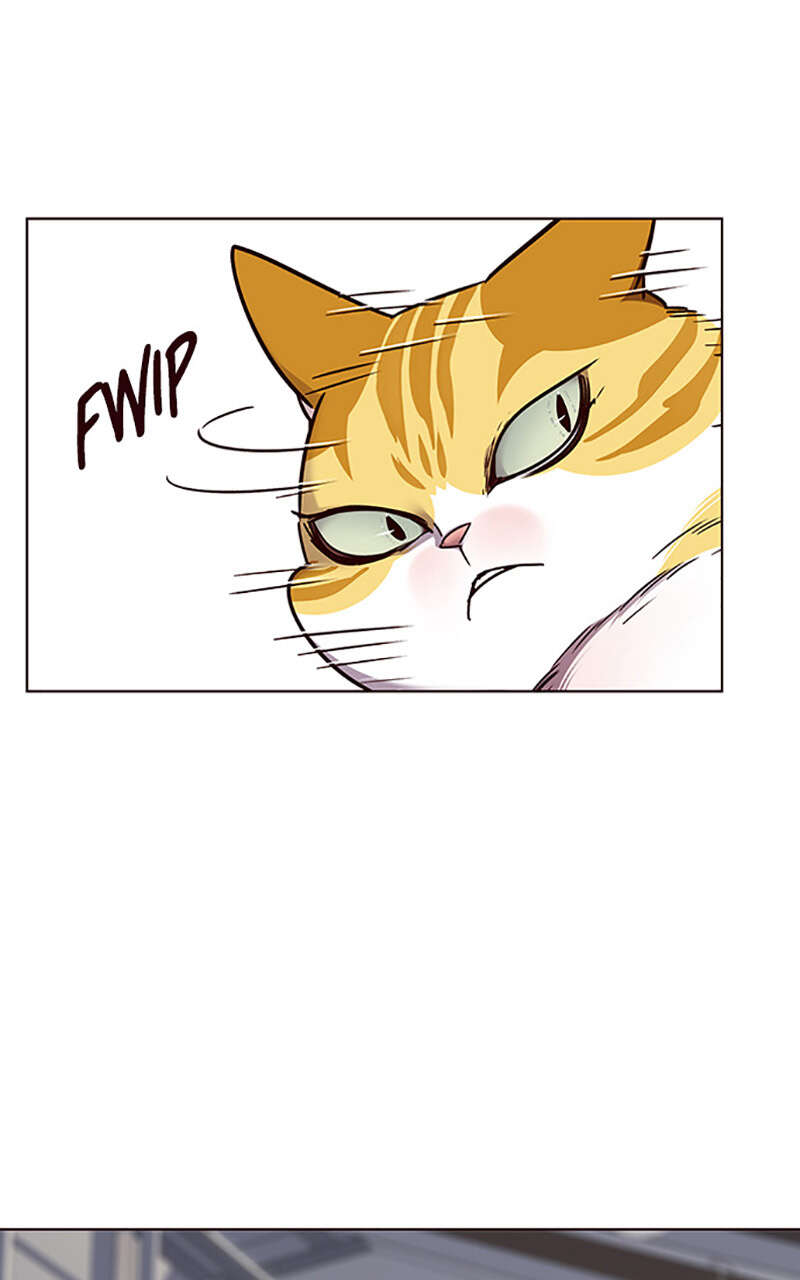 Eleceed Chapitre 58 - Page 6