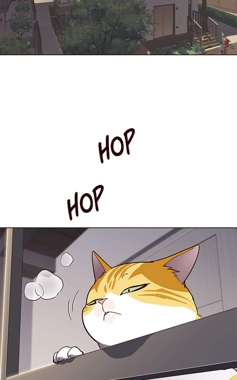 Eleceed Chapitre 64 - Page 53
