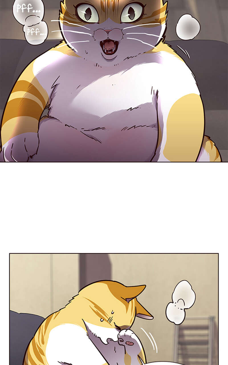 Eleceed Chapitre 65 - Page 11