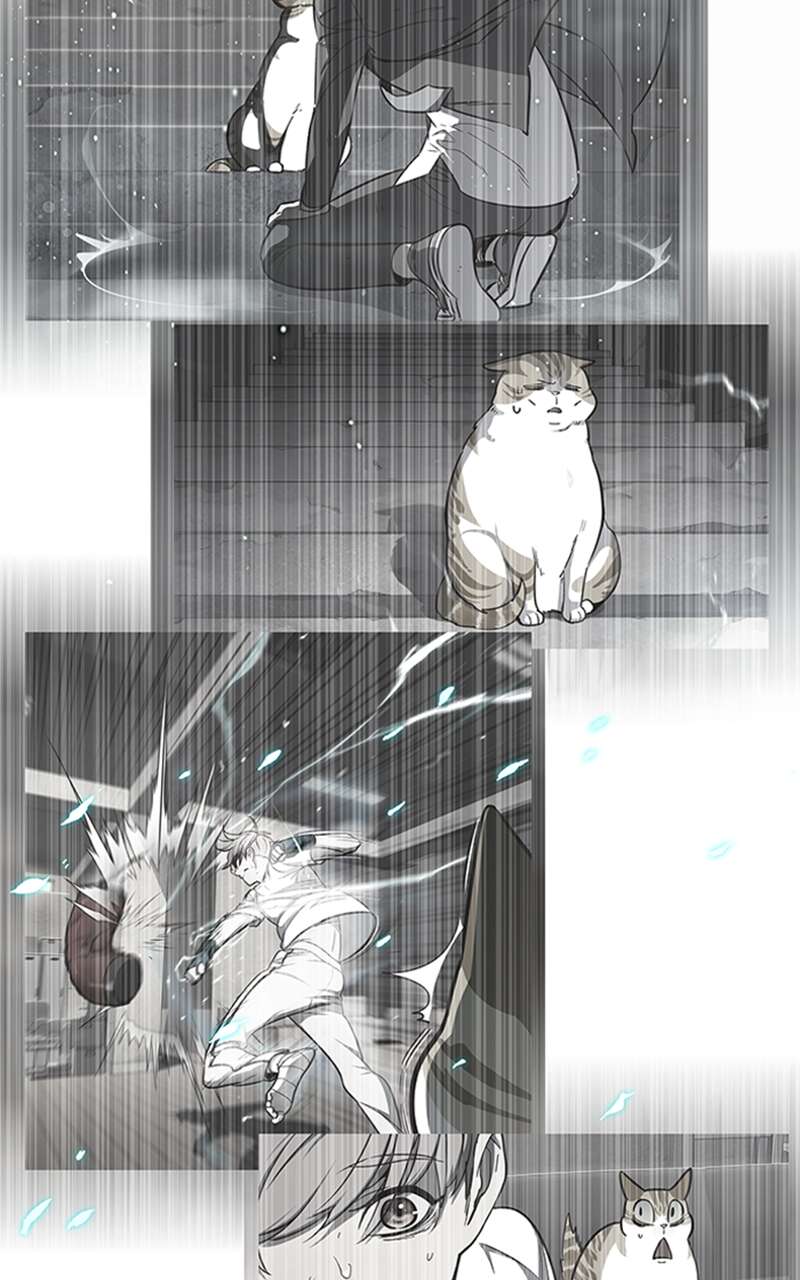 Eleceed Chapitre 93 - Page 39