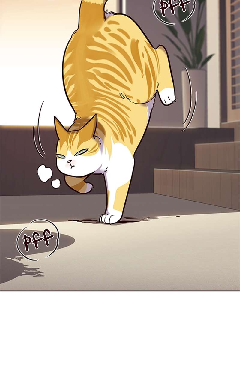 Eleceed Chapitre 94 - Page 21