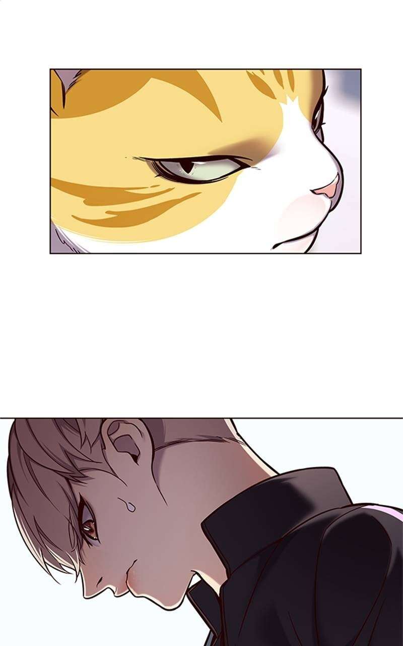 Eleceed Chapitre 117 - Page 42