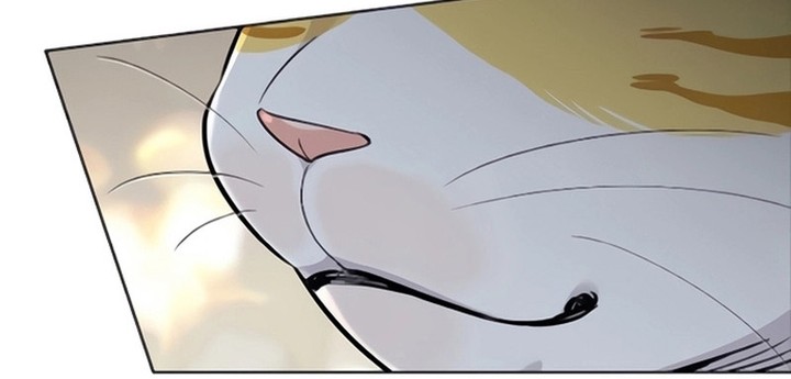 Eleceed Chapitre 354 - Page 168