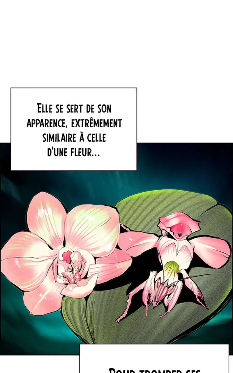 Jungle Juice Chapitre 57 - Page 5