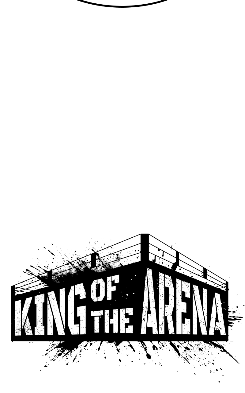 King of Violence Chapitre 45 - Page 29