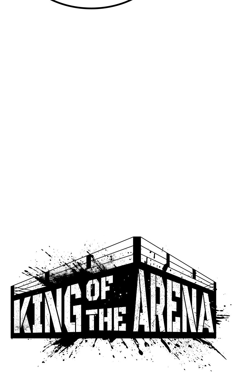 King of Violence Chapitre 46 - Page 29