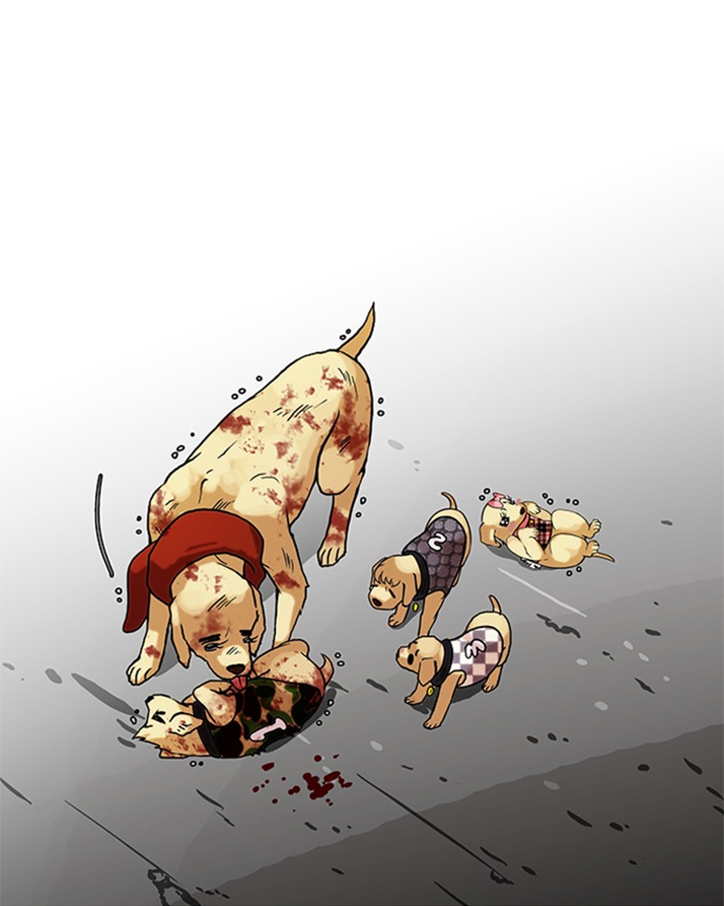 Lookism Chapitre 70 - Page 26