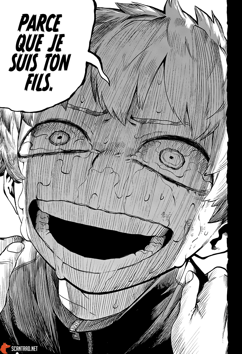 My Hero Academia Chapitre 301 - Page 15