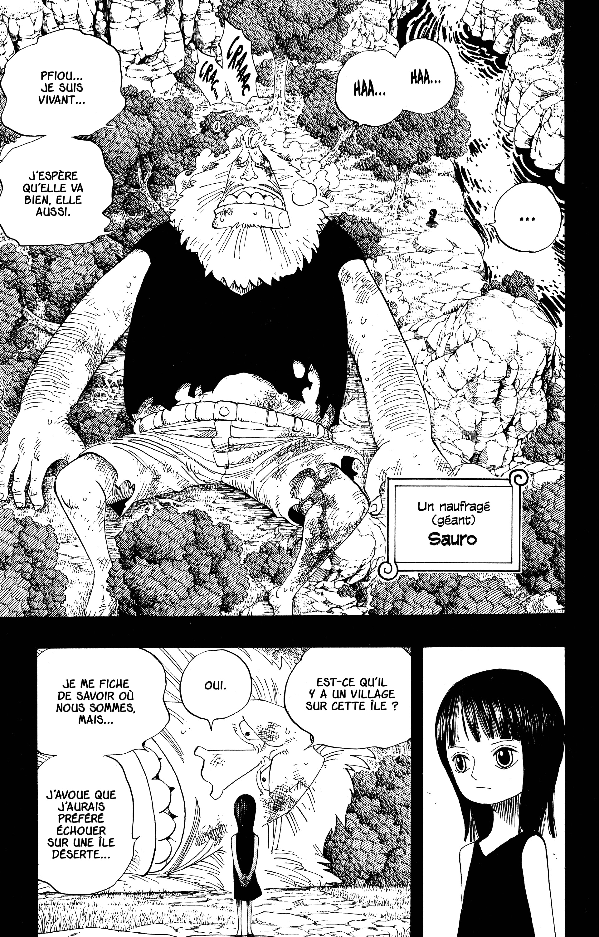 One Piece Chapitre 392 - Page 11