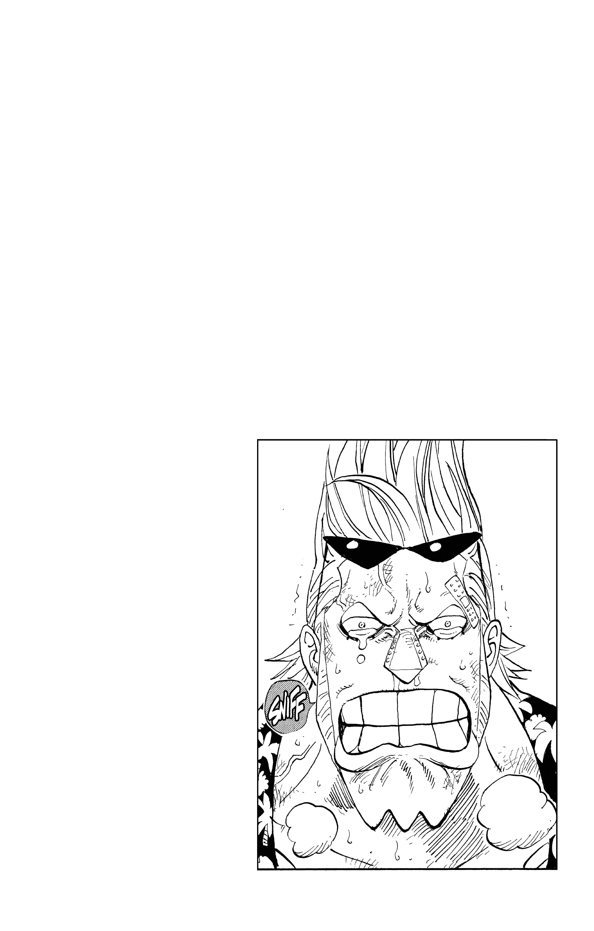 One Piece Chapitre 435 - Page 19