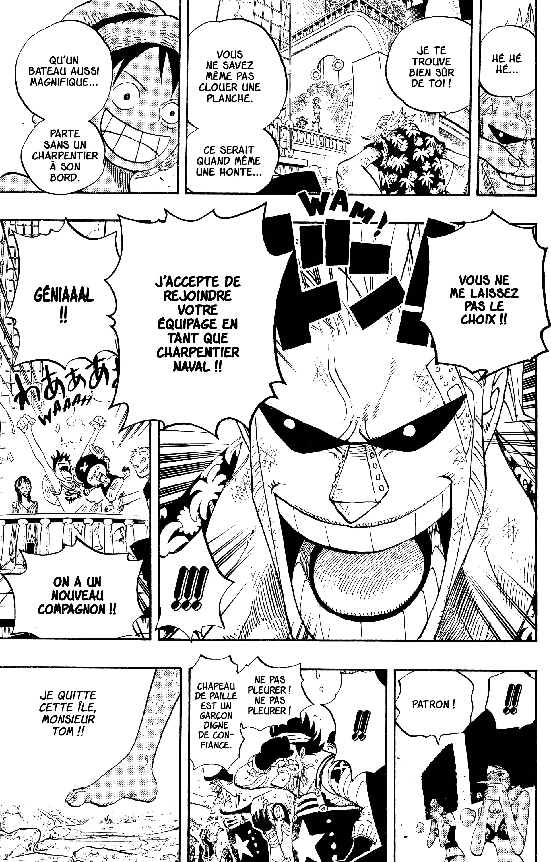 One Piece Chapitre 437 - Page 17