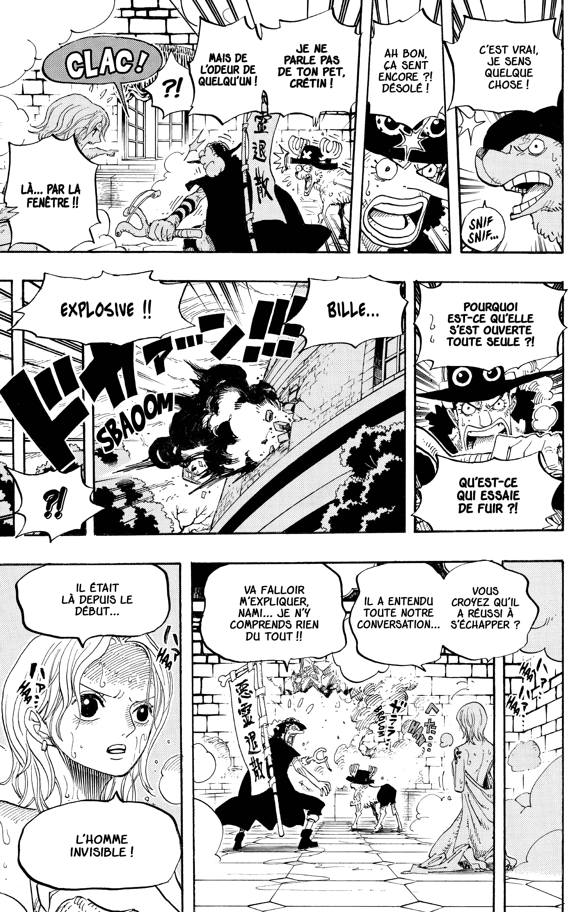 One Piece Chapitre 446 - Page 17