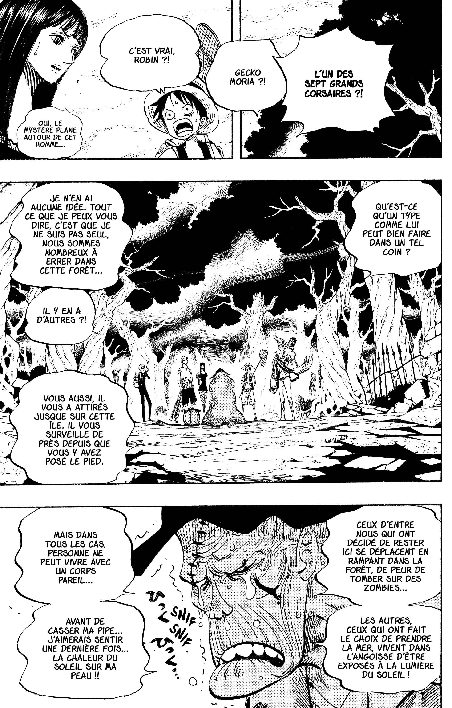 One Piece Chapitre 449 - Page 3