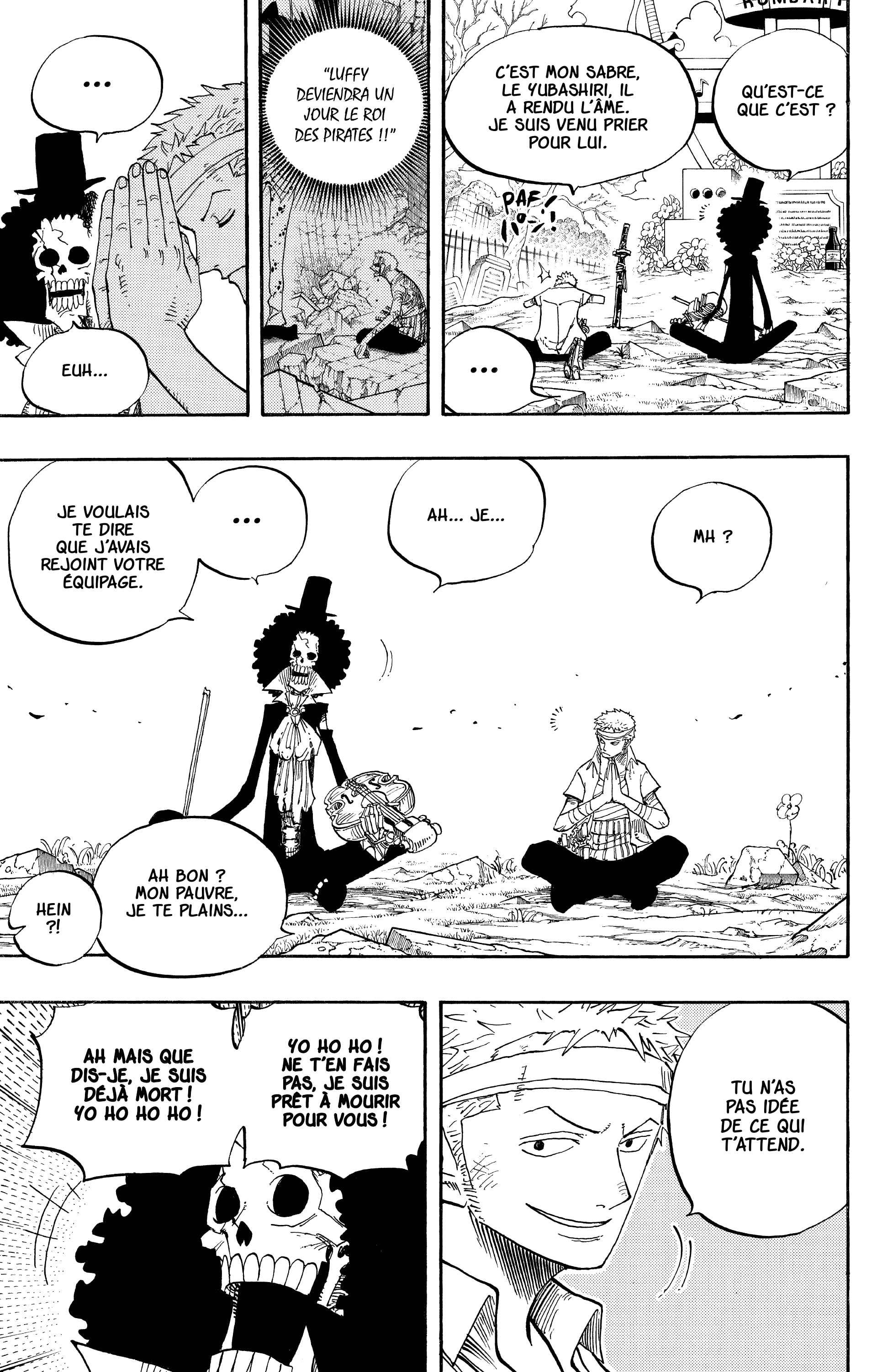 One Piece Chapitre 489 - Page 13