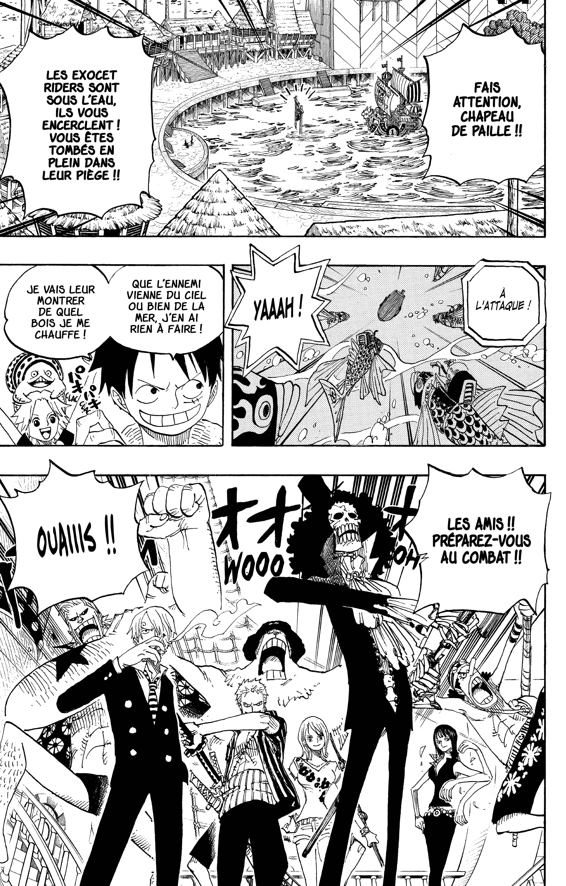 One Piece Chapitre 492 - Page 25