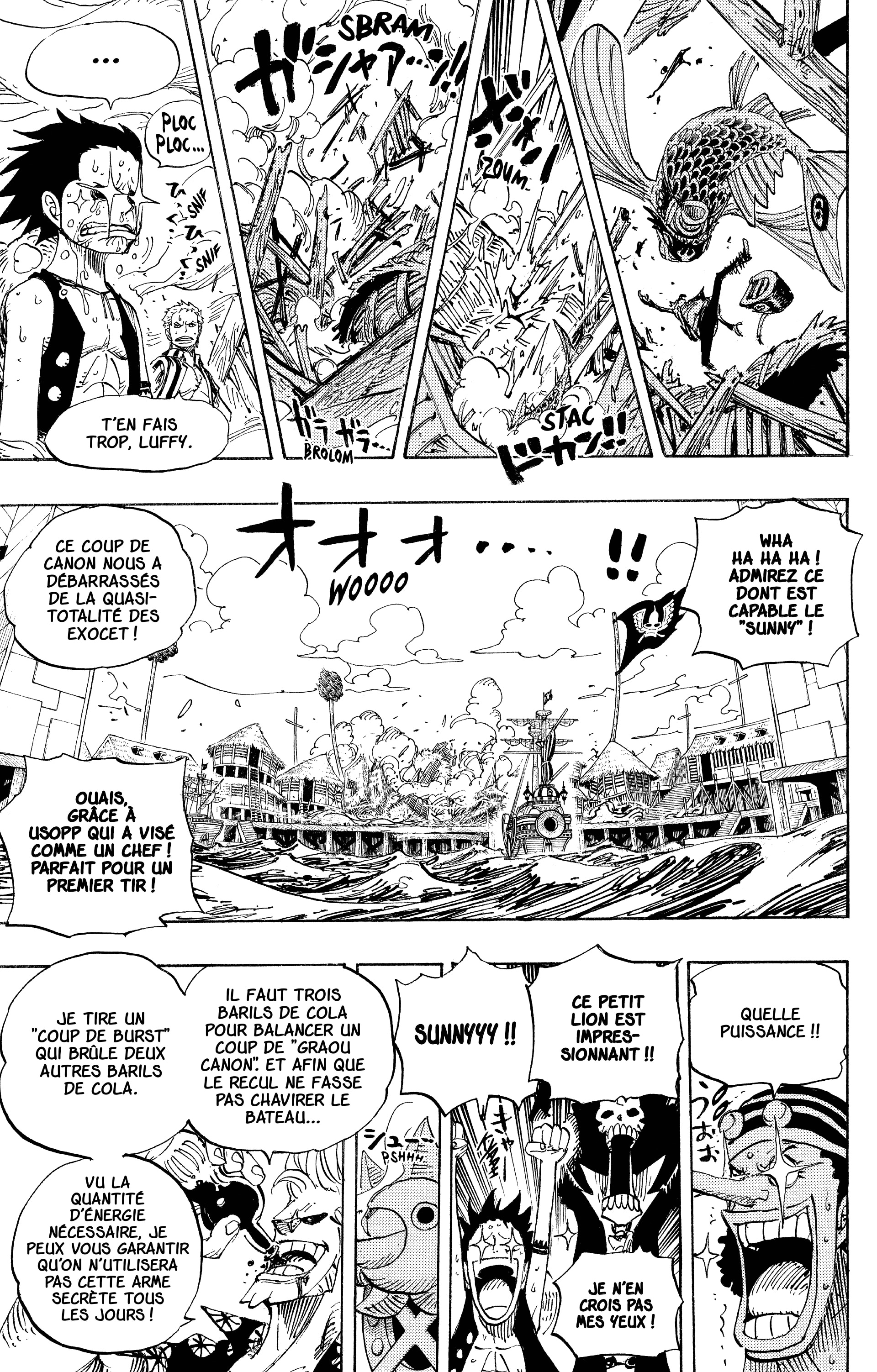 One Piece Chapitre 495 - Page 13