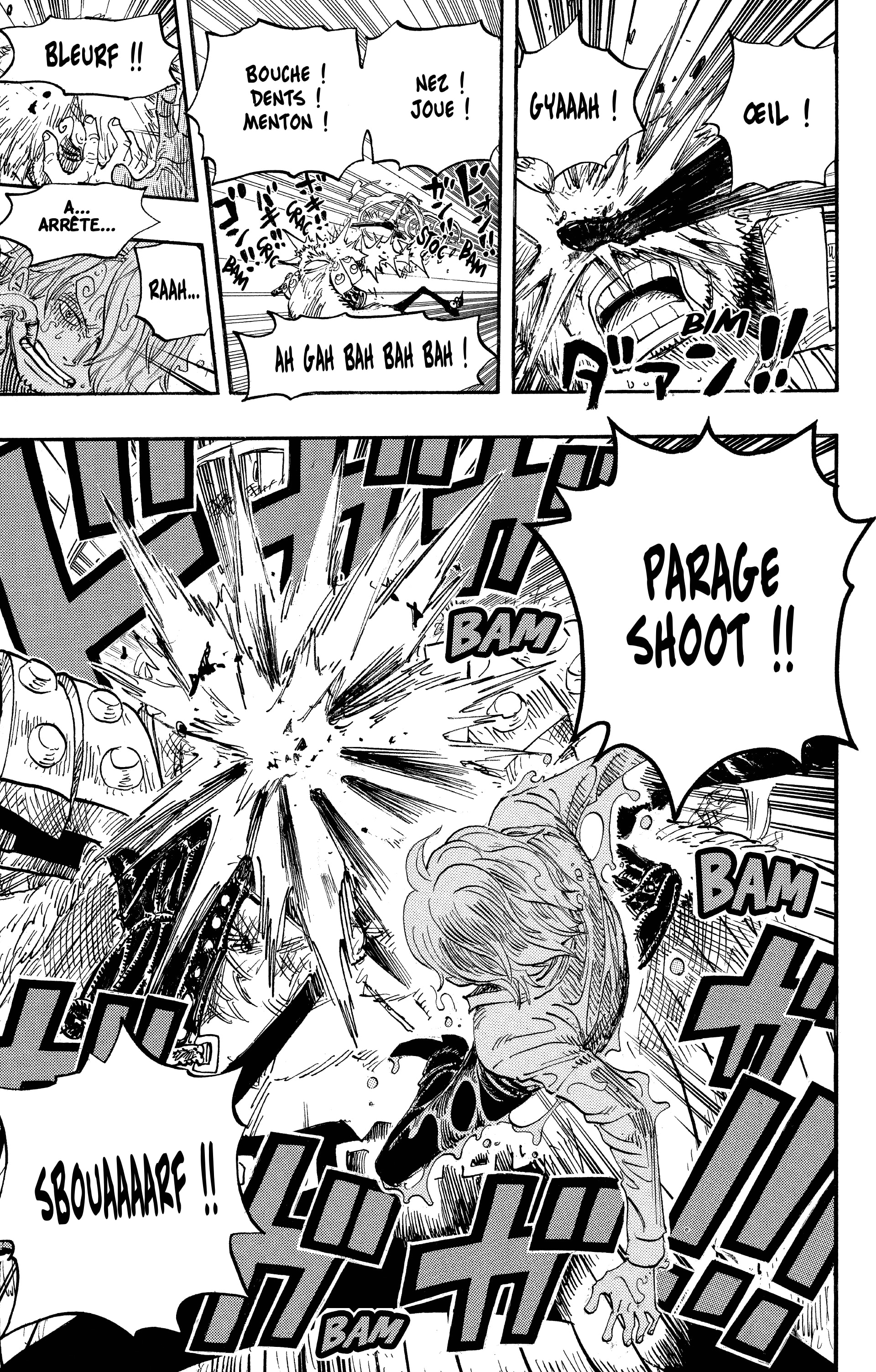 One Piece Chapitre 495 - Page 19