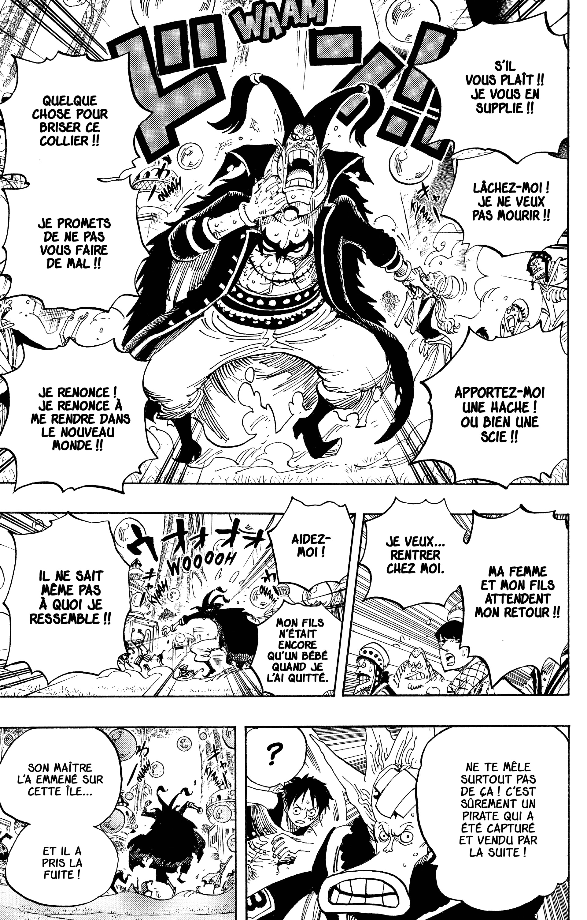 One Piece Chapitre 497 - Page 13