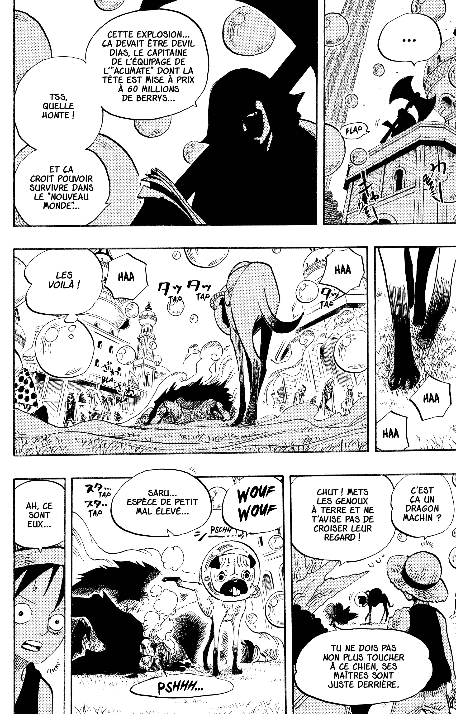 One Piece Chapitre 497 - Page 16