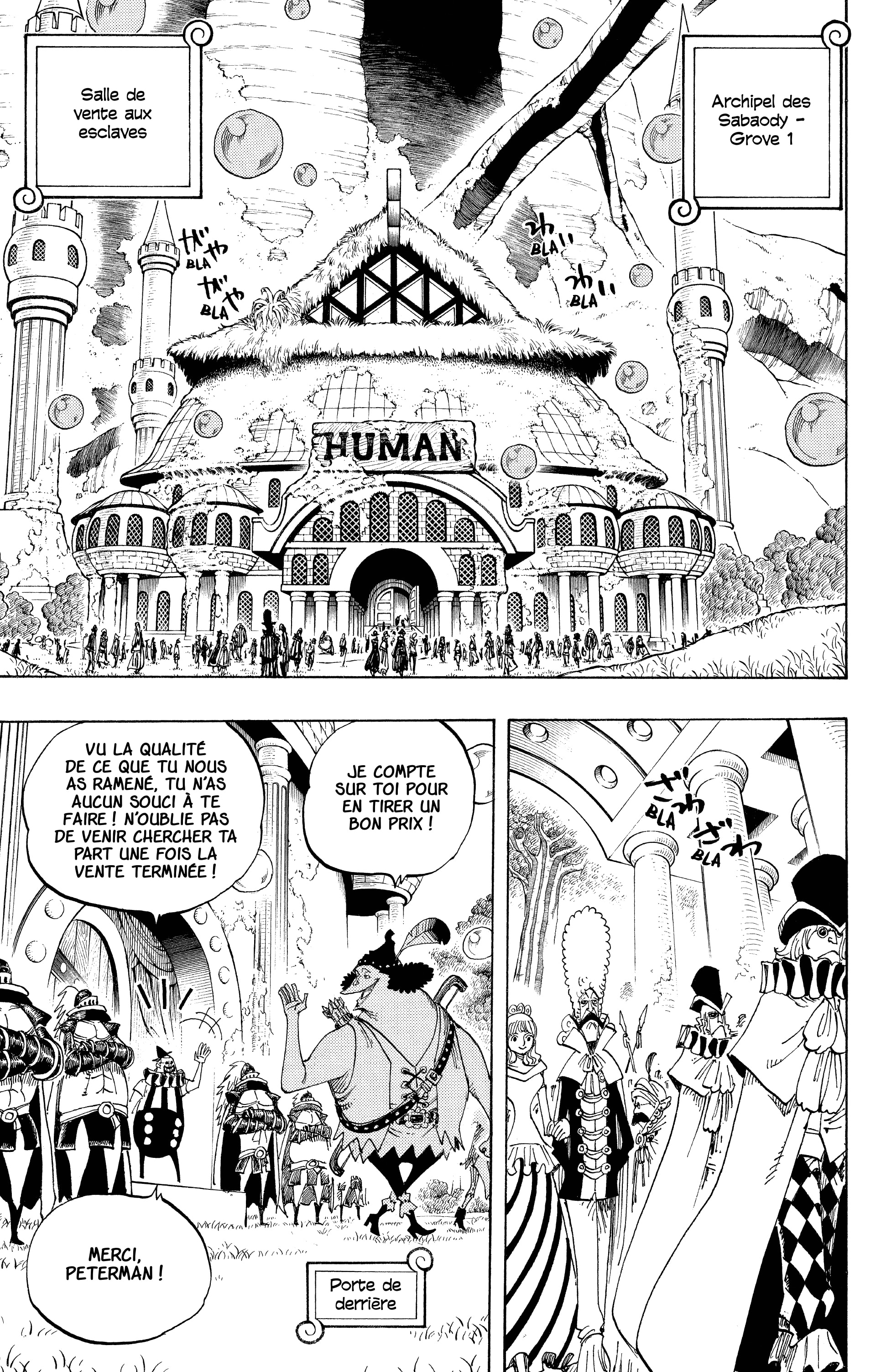 One Piece Chapitre 500 - Page 13