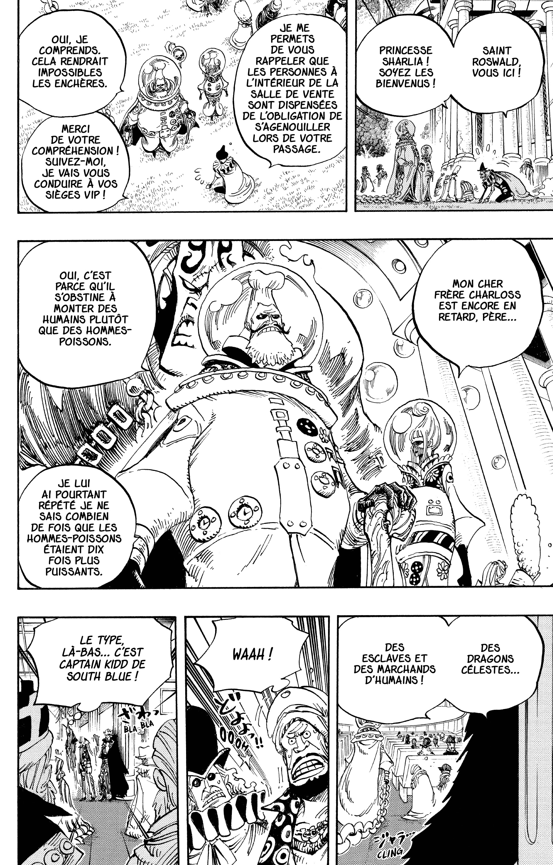 One Piece Chapitre 500 - Page 14