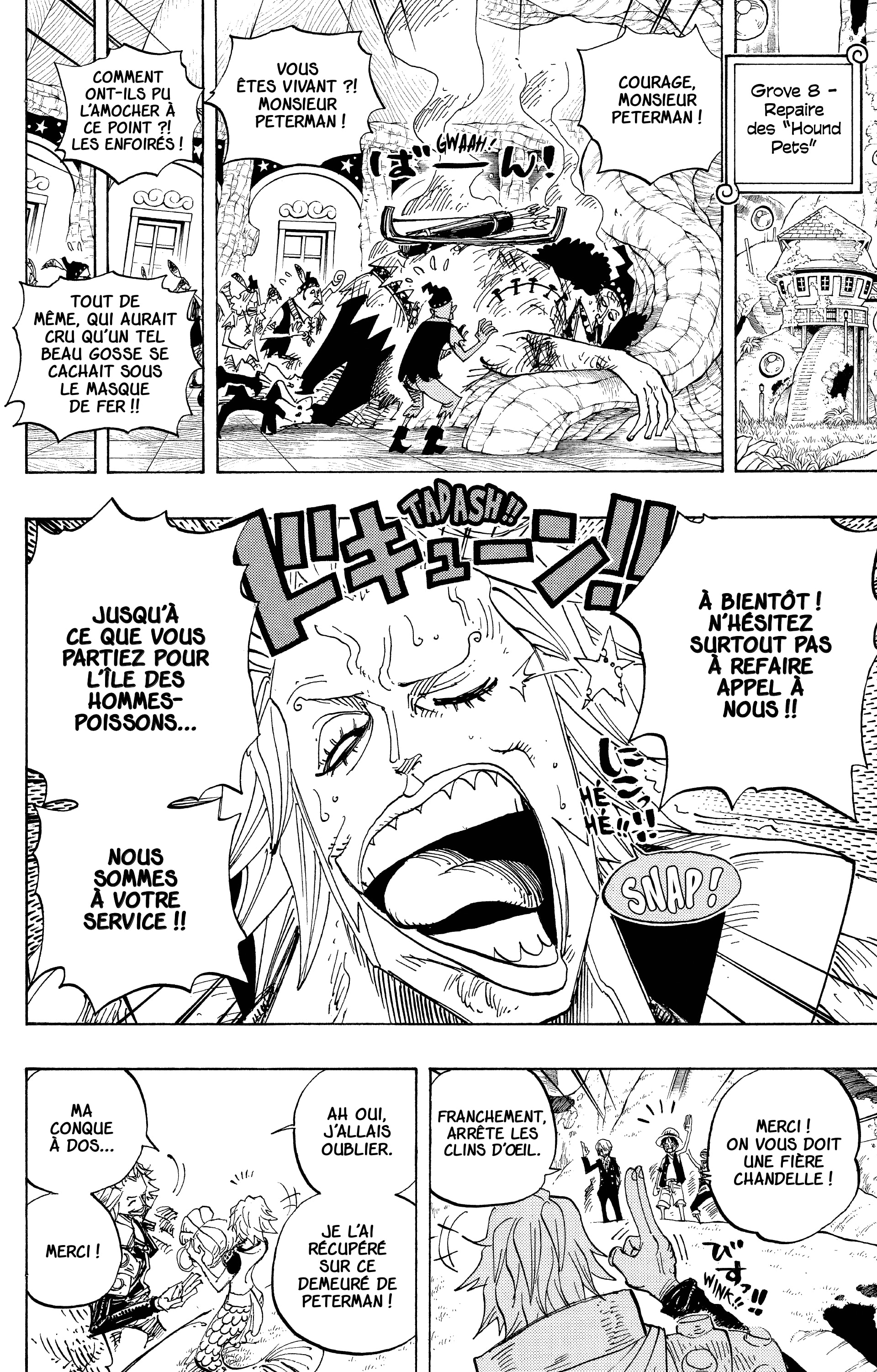 One Piece Chapitre 506 - Page 6