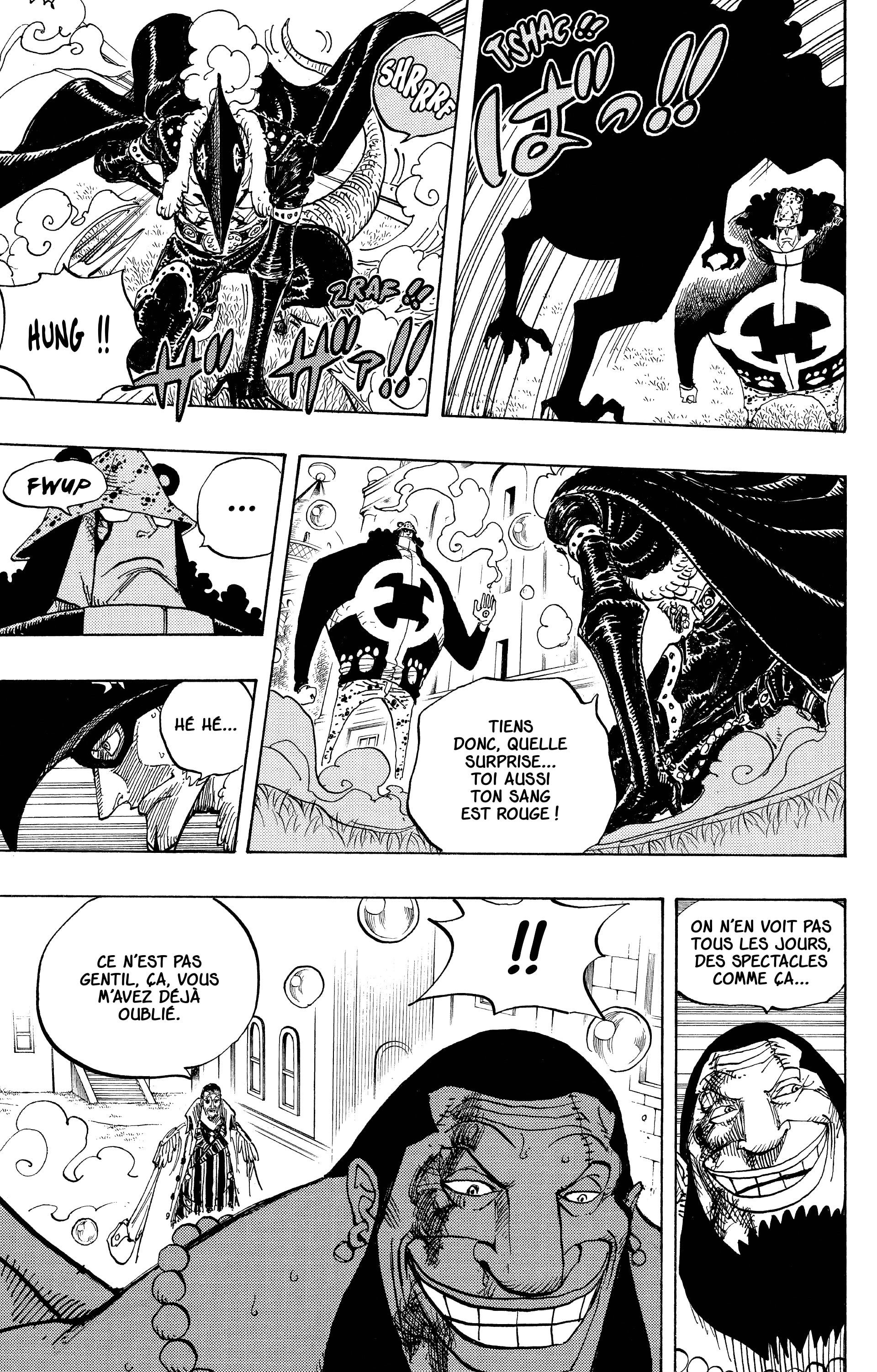 One Piece Chapitre 509 - Page 13
