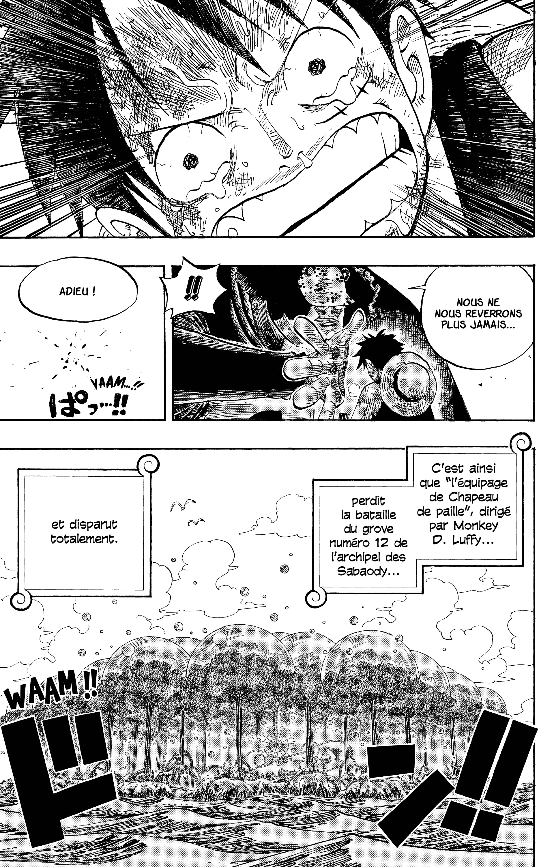 One Piece Chapitre 513 - Page 24