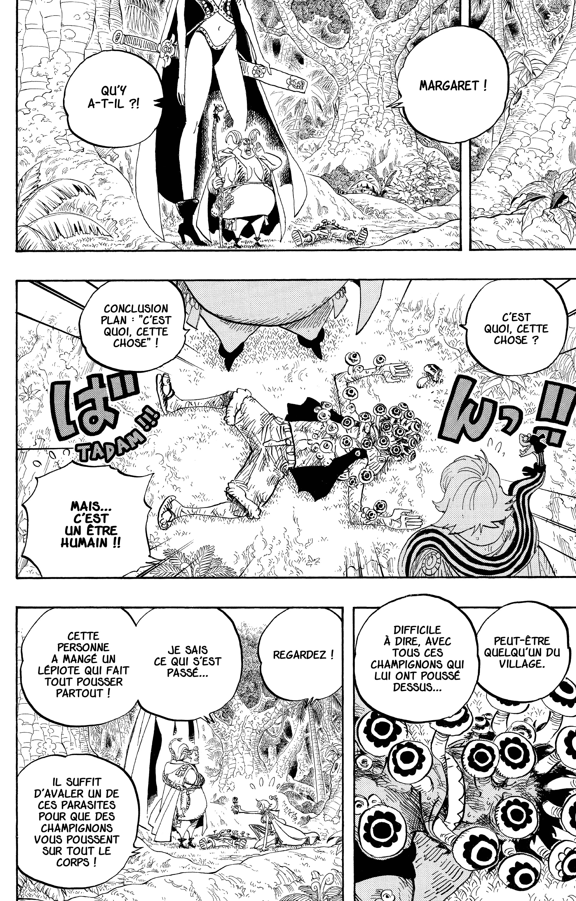 One Piece Chapitre 514 - Page 13