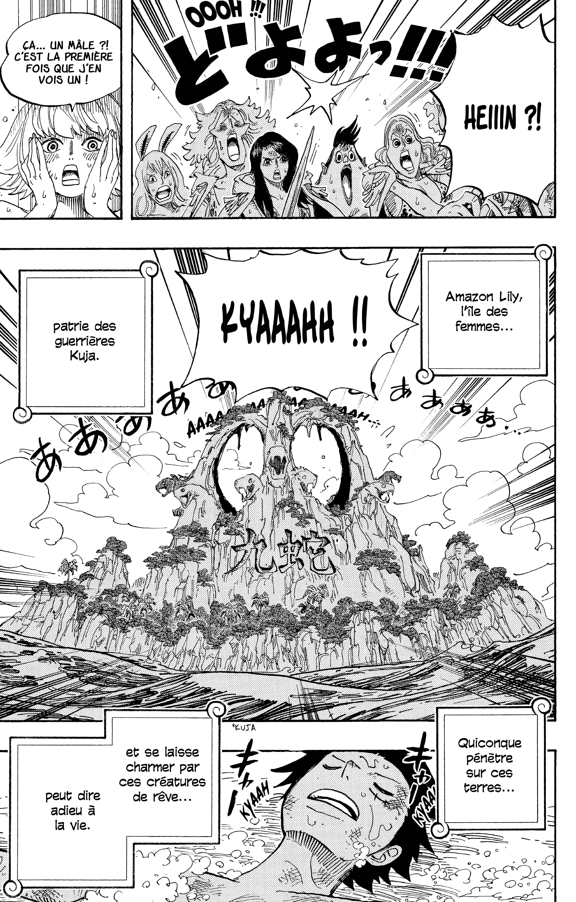 One Piece Chapitre 514 - Page 18