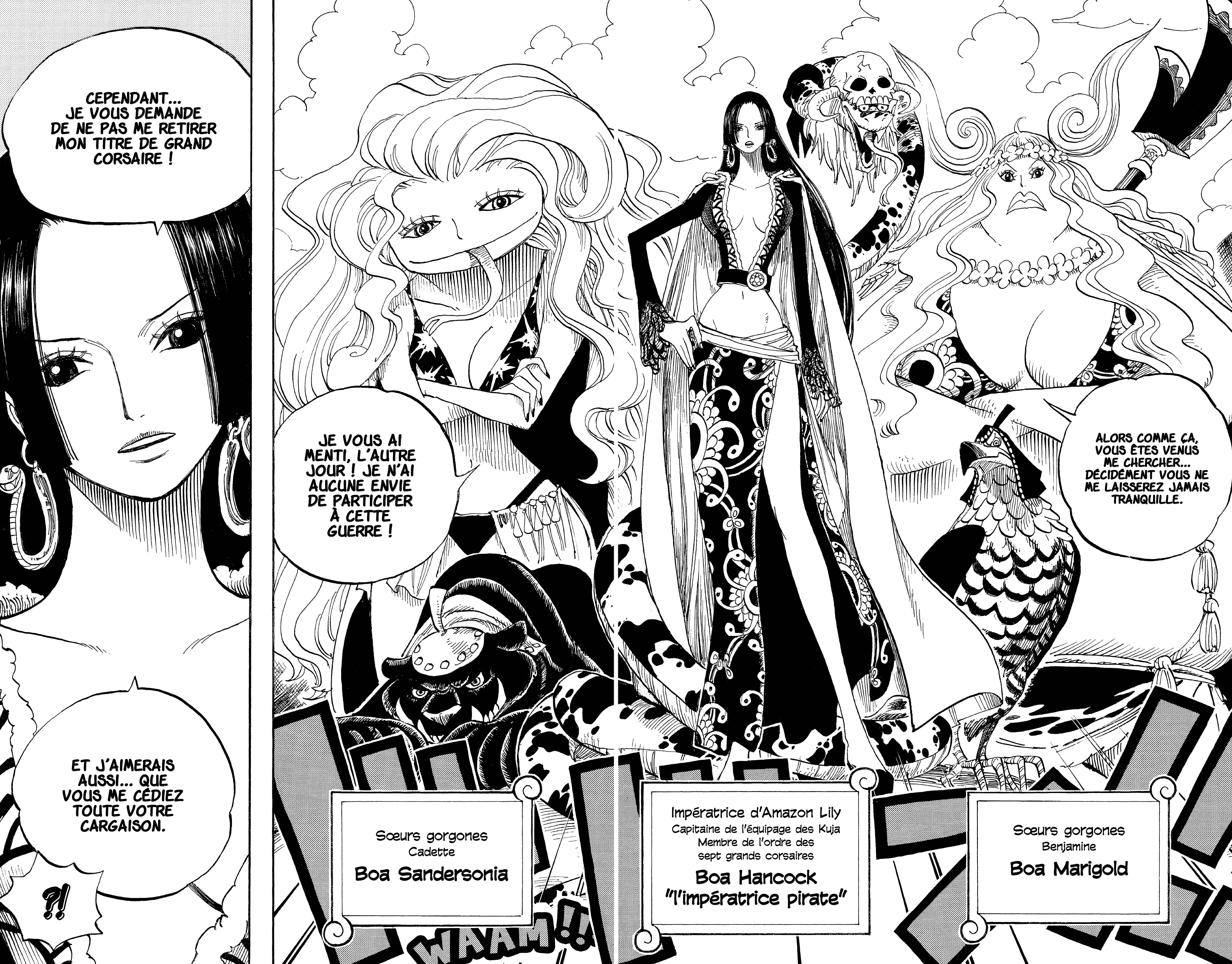 One Piece Chapitre 516 - Page 12