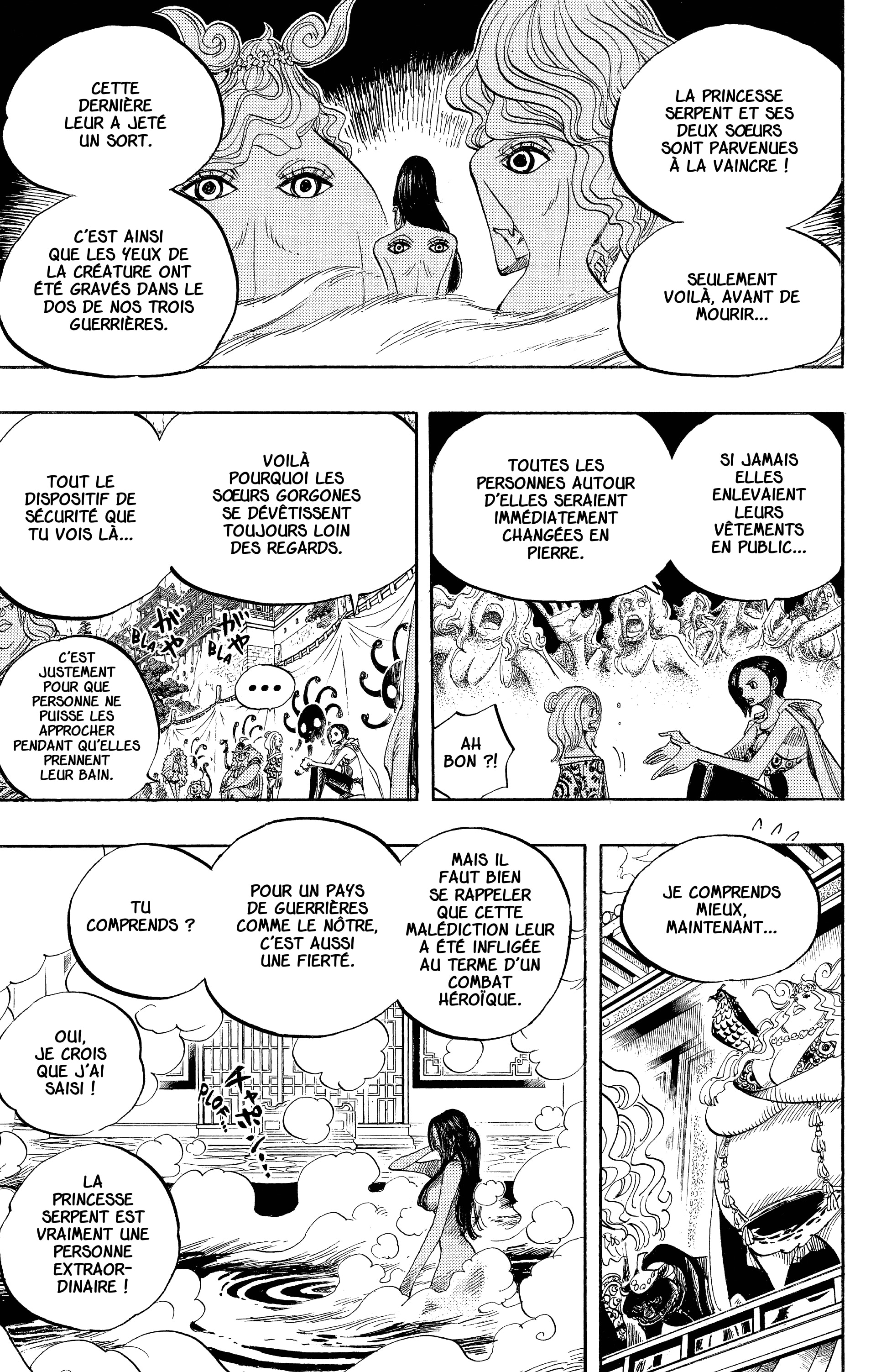 One Piece Chapitre 517 - Page 15