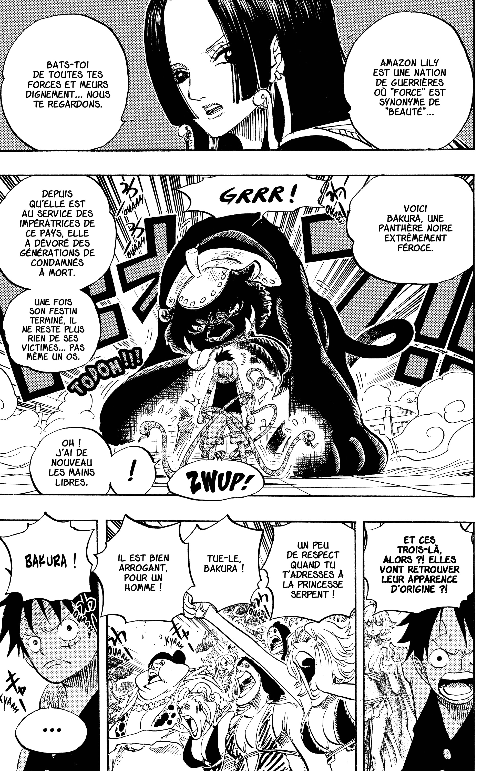 One Piece Chapitre 518 - Page 13