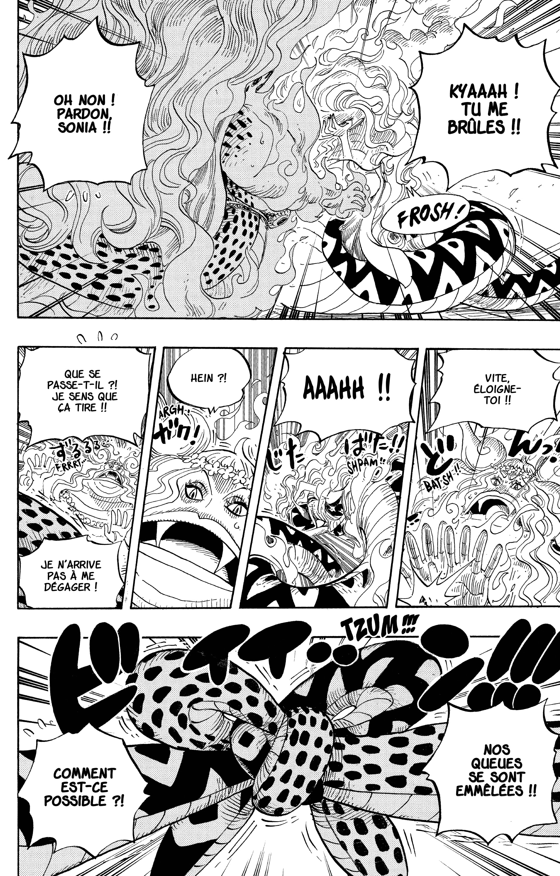 One Piece Chapitre 520 - Page 13