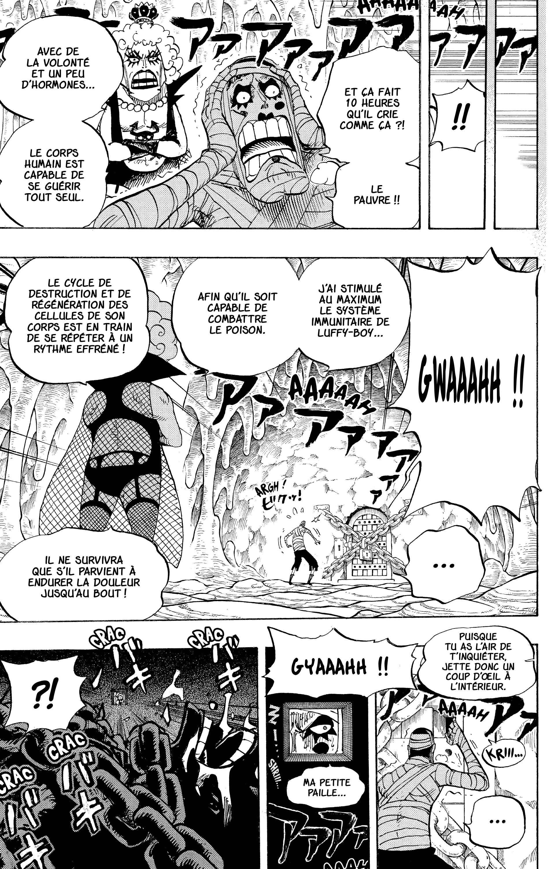 One Piece Chapitre 538 - Page 5