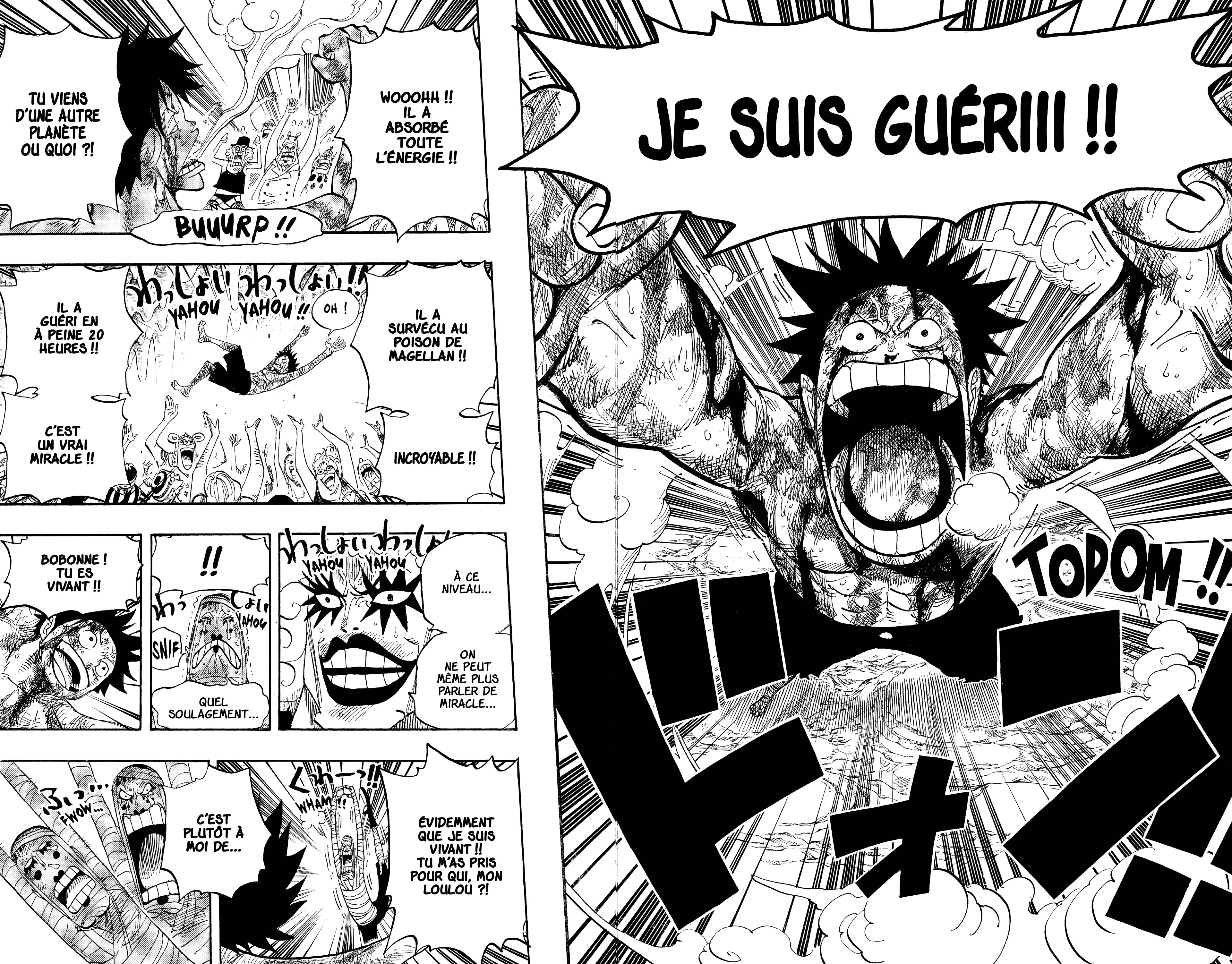 One Piece Chapitre 539 - Page 4