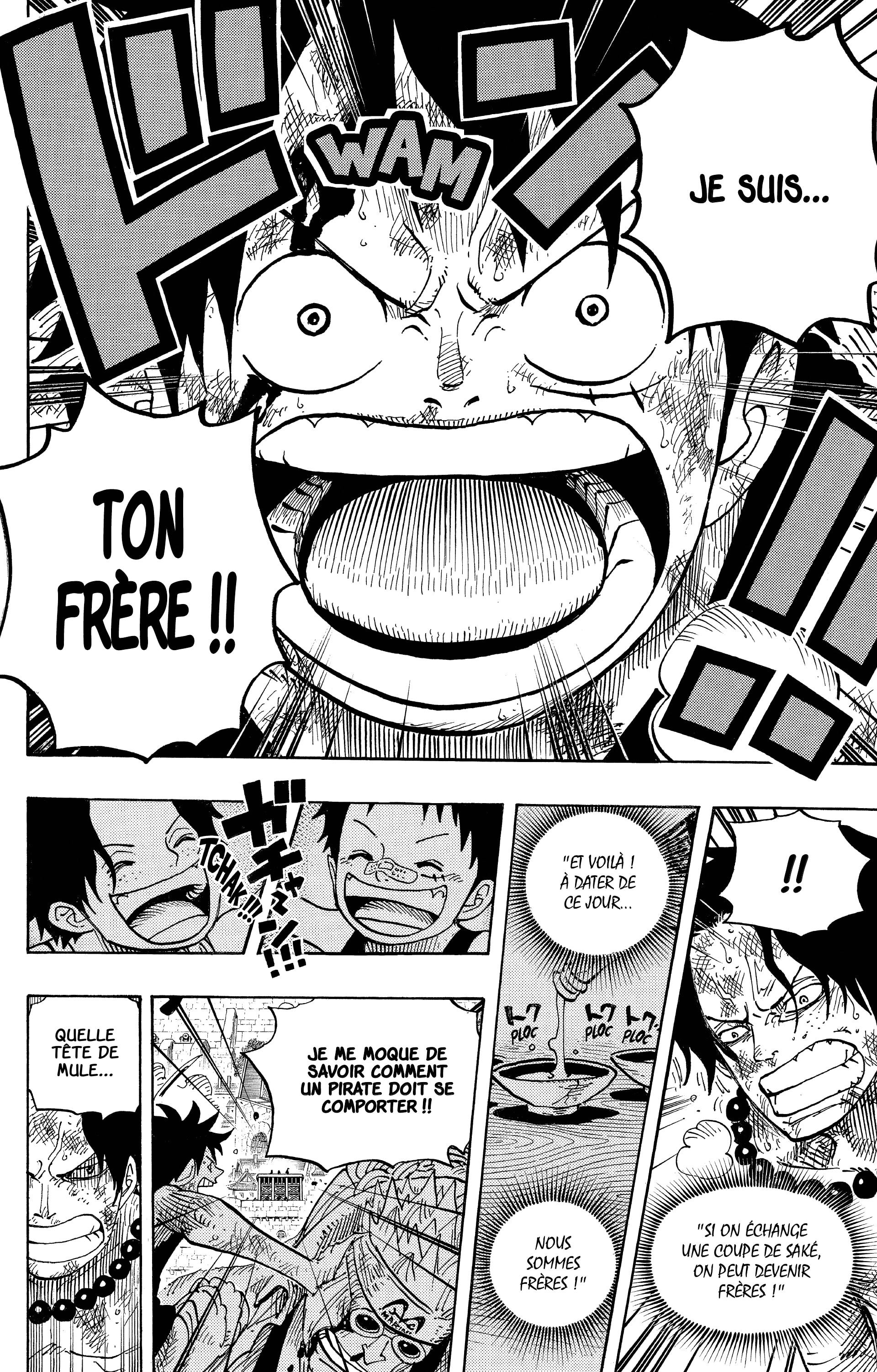 One Piece Chapitre 558 - Page 10