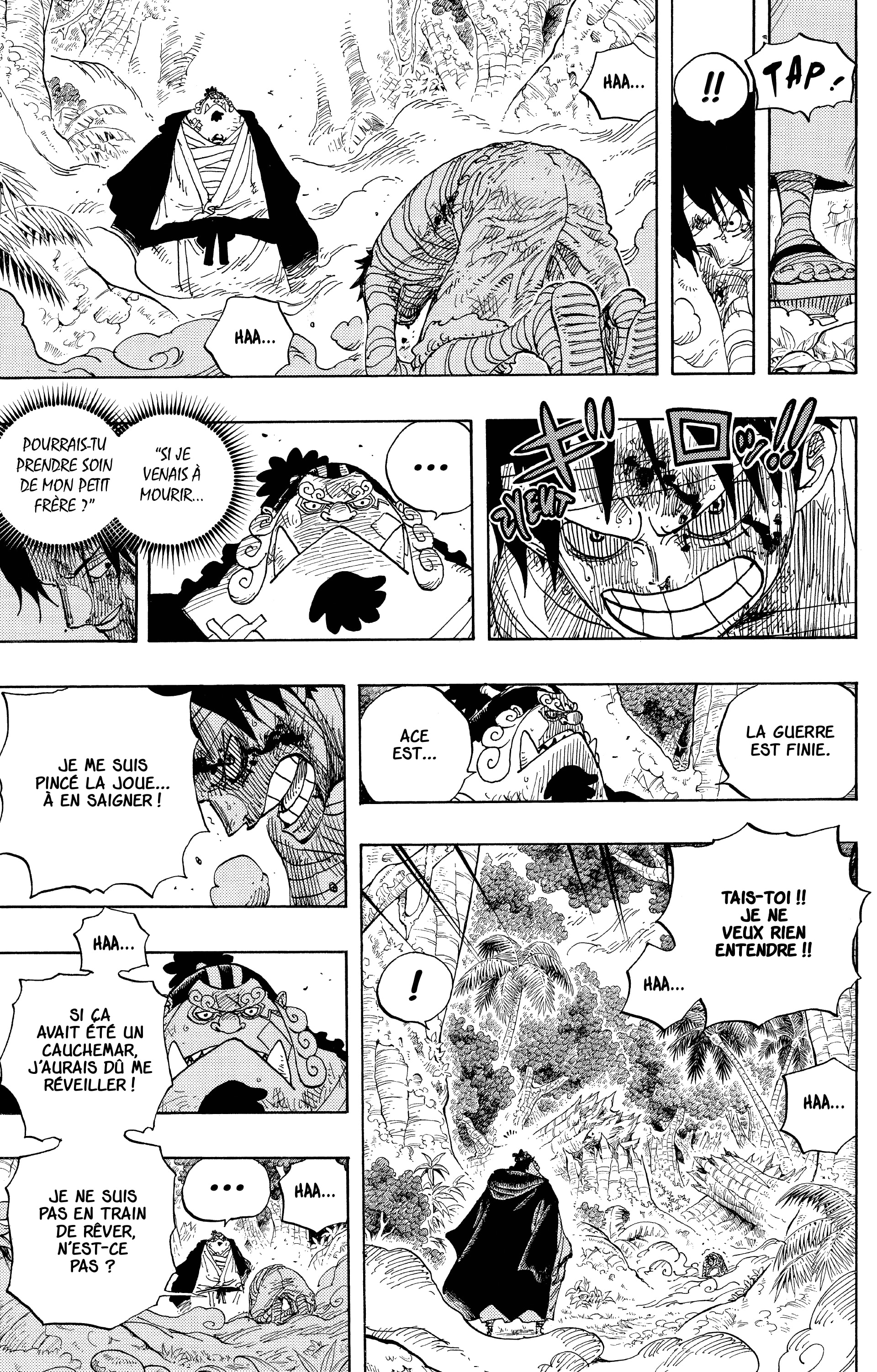 One Piece Chapitre 582 - Page 12