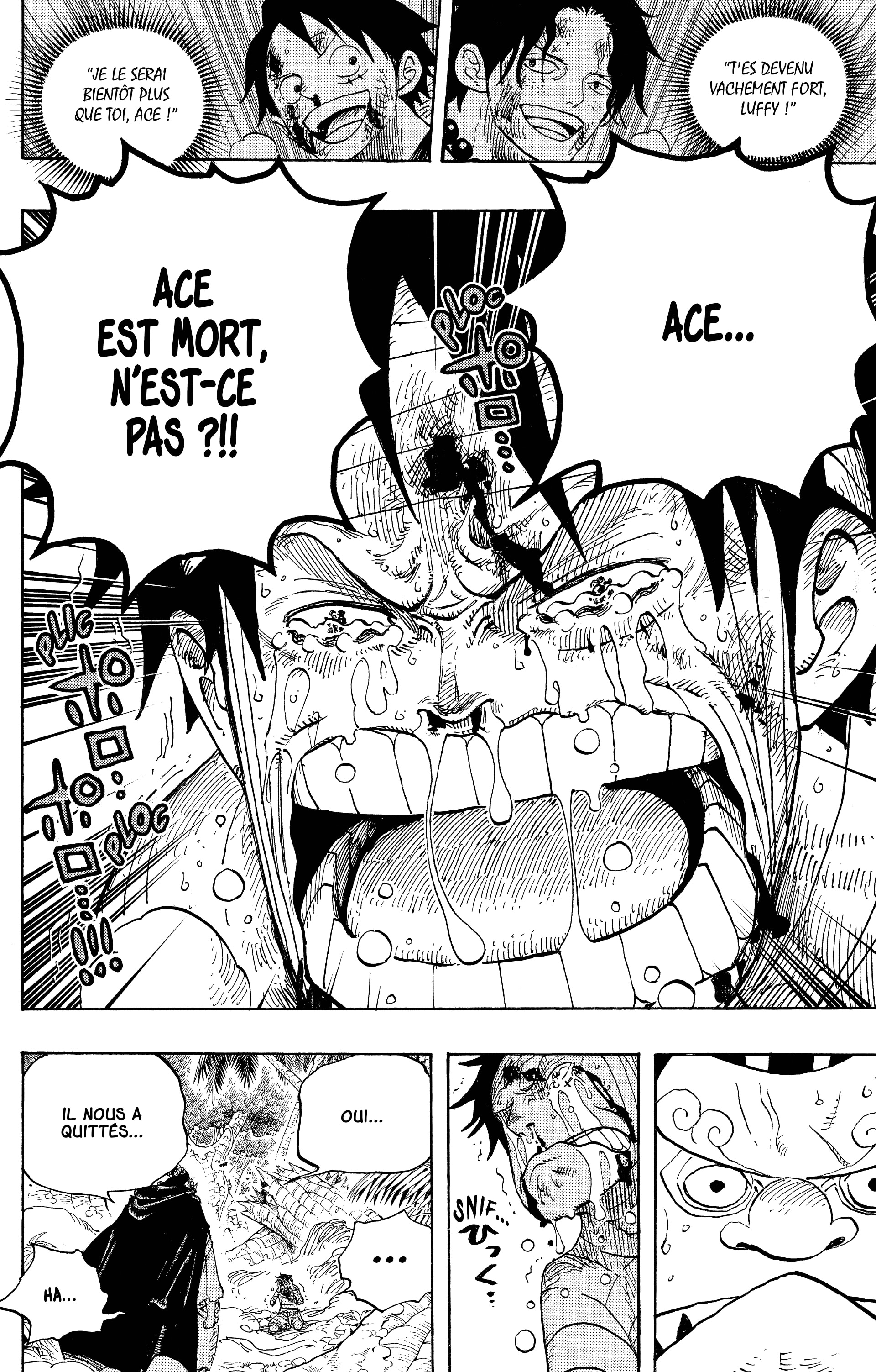 One Piece Chapitre 582 - Page 13