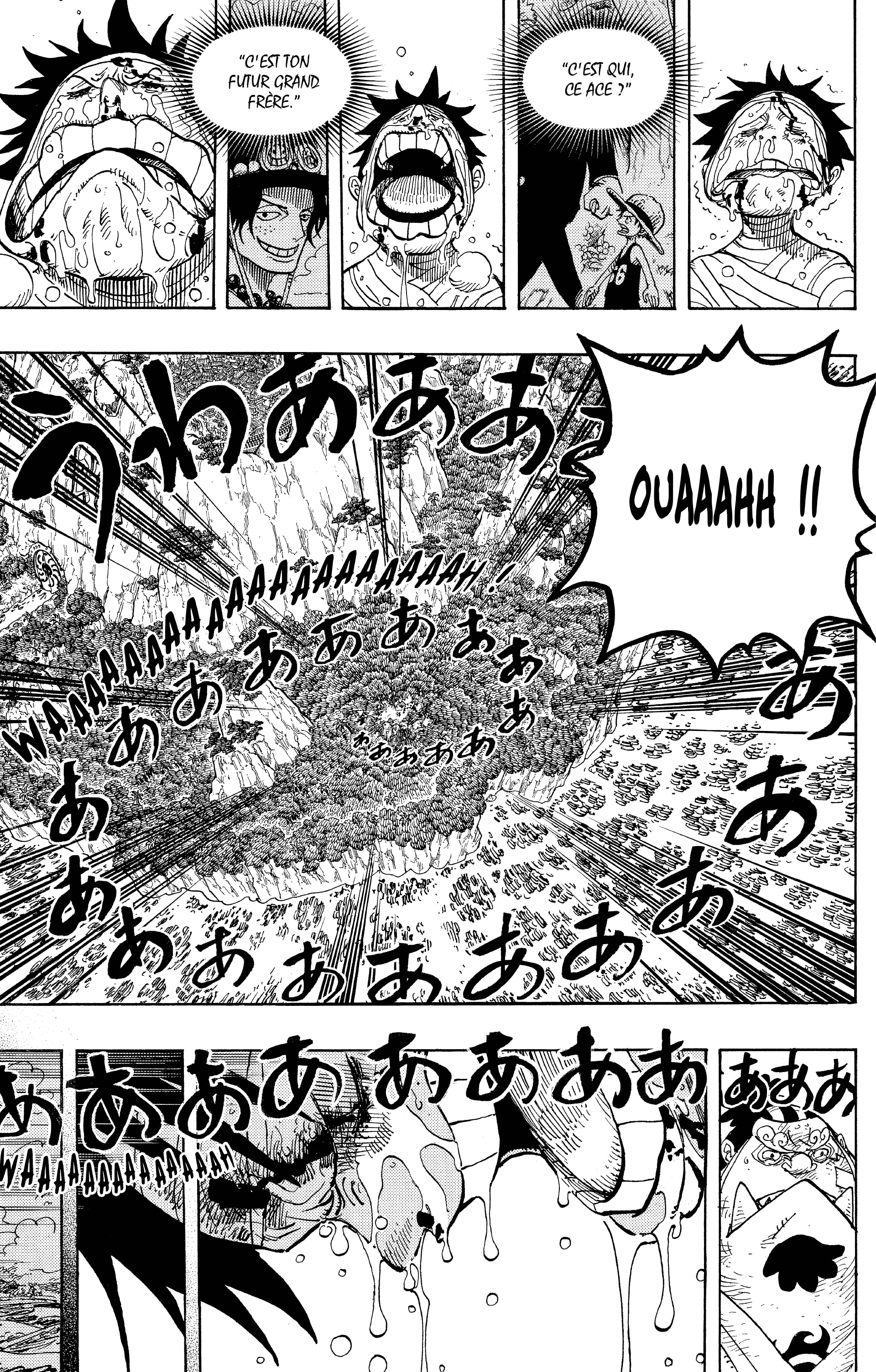 One Piece Chapitre 582 - Page 14