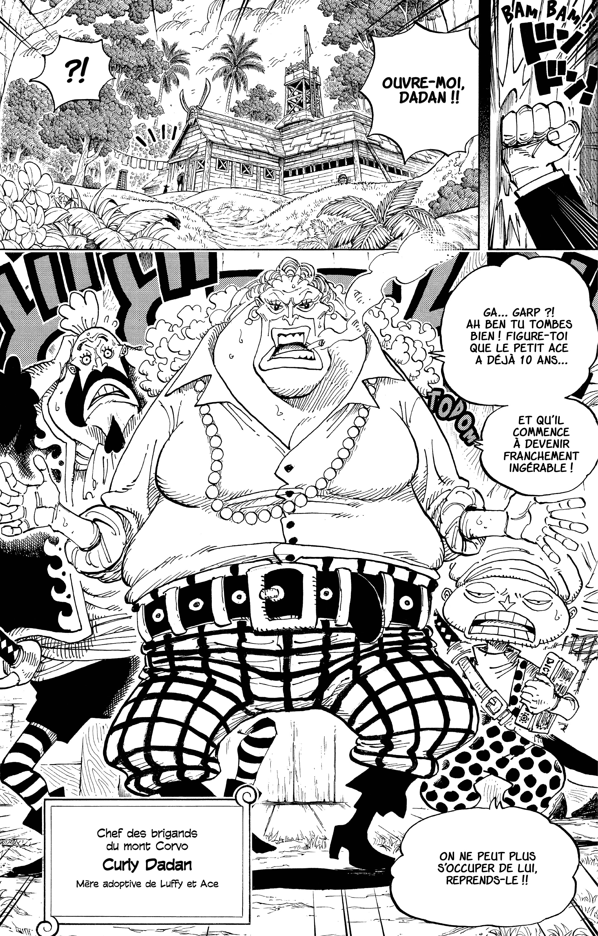 One Piece Chapitre 582 - Page 16