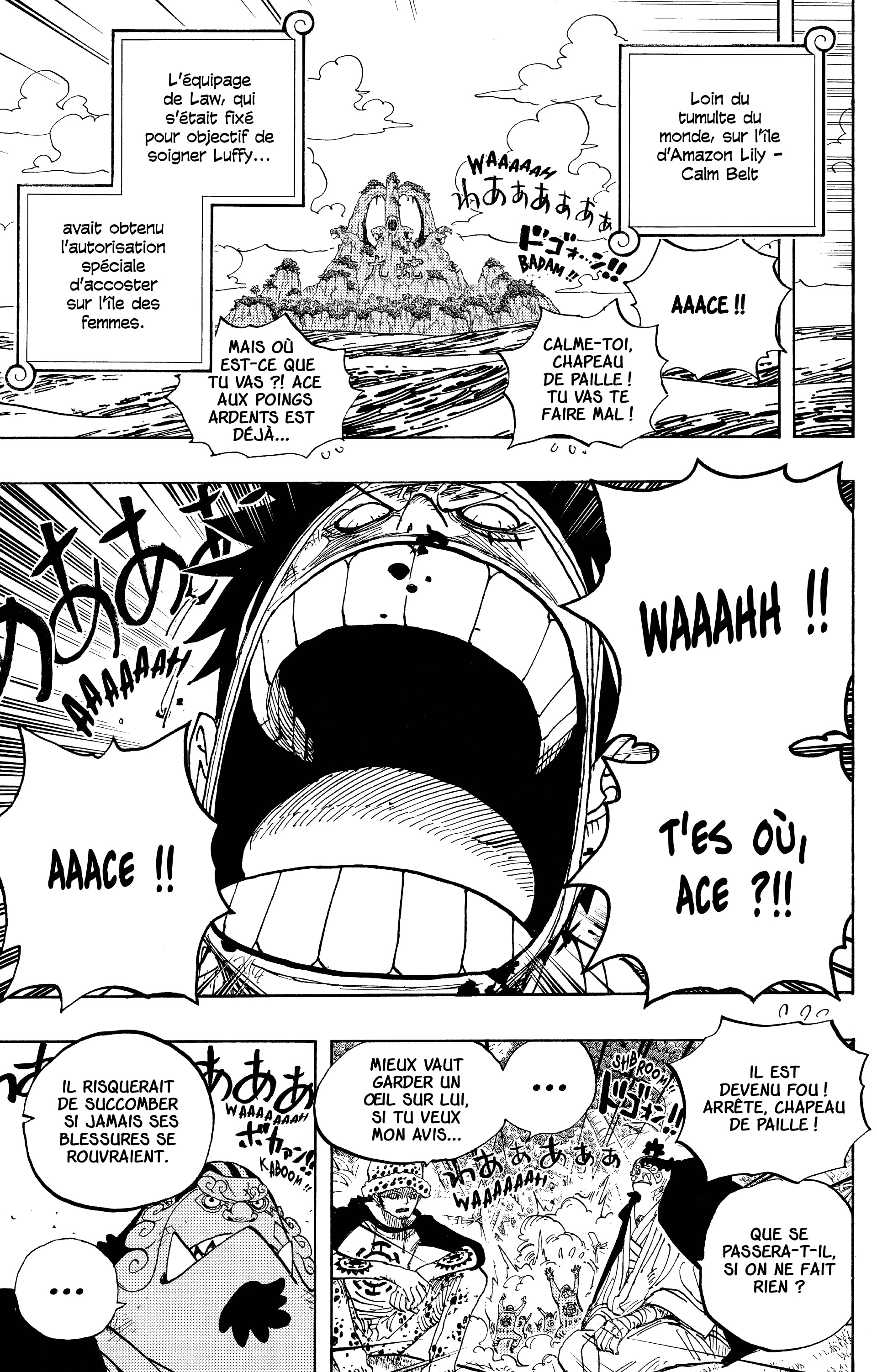 One Piece Chapitre 582 - Page 4