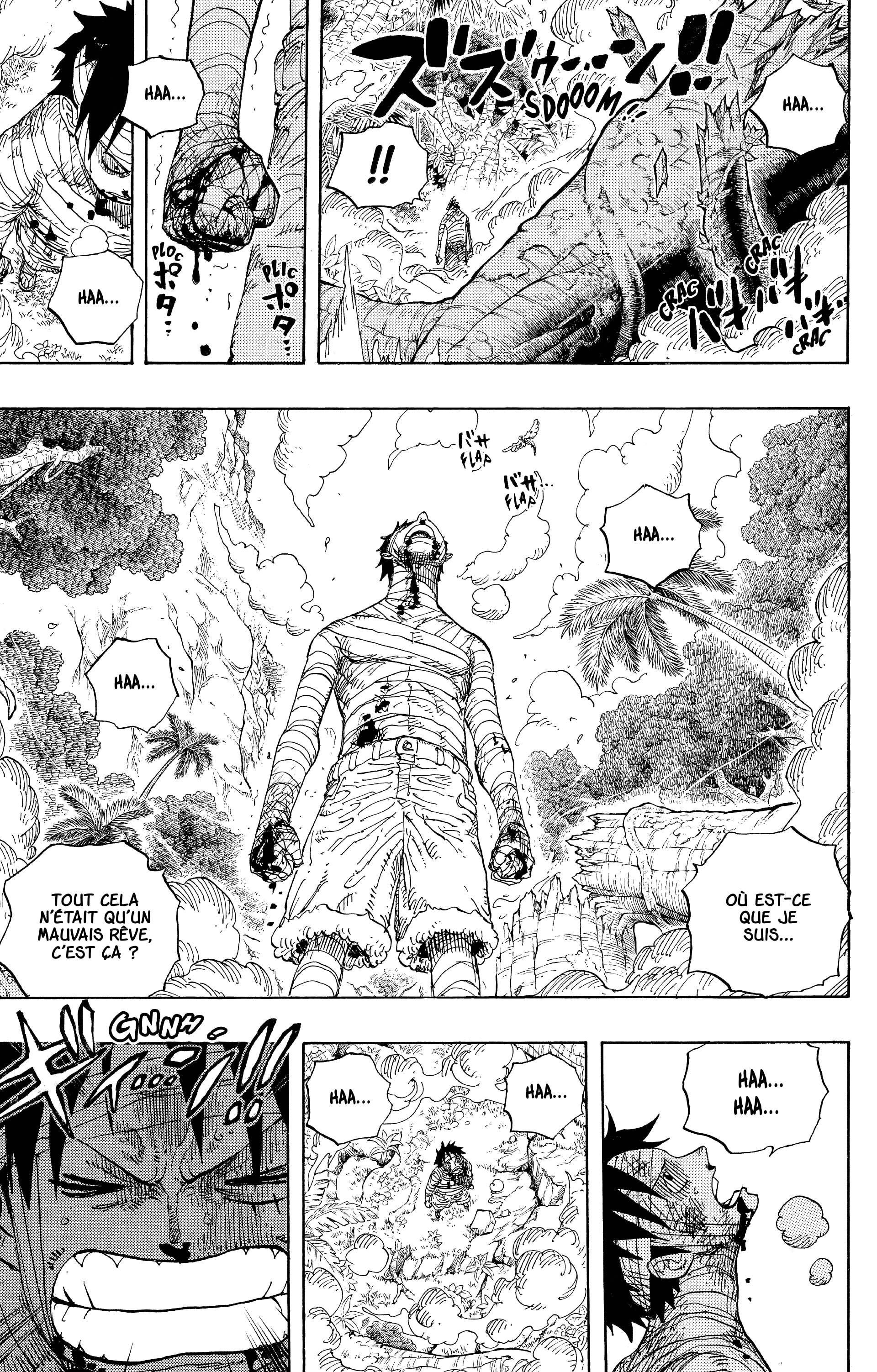 One Piece Chapitre 582 - Page 8