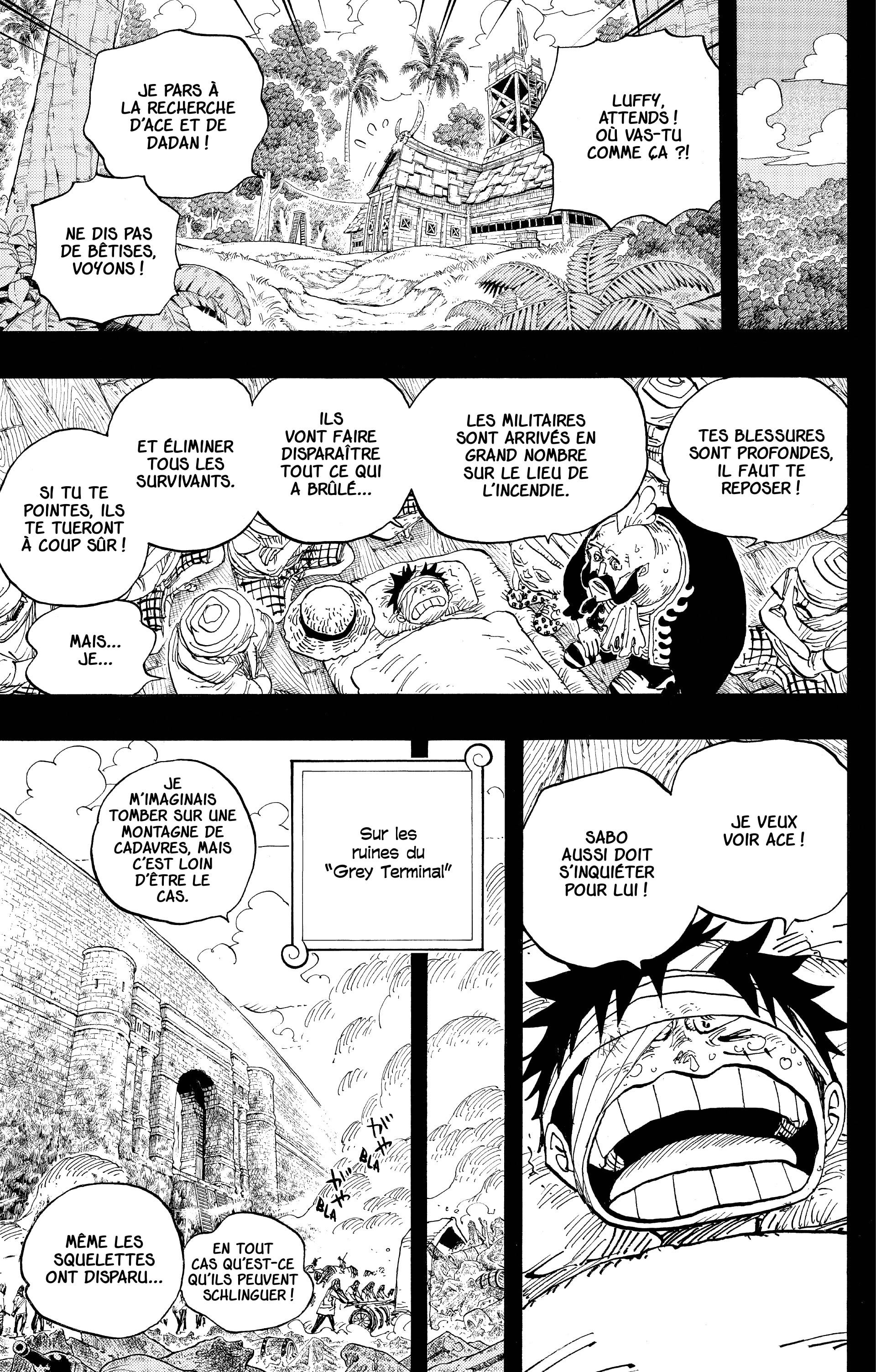 One Piece Chapitre 587 - Page 17