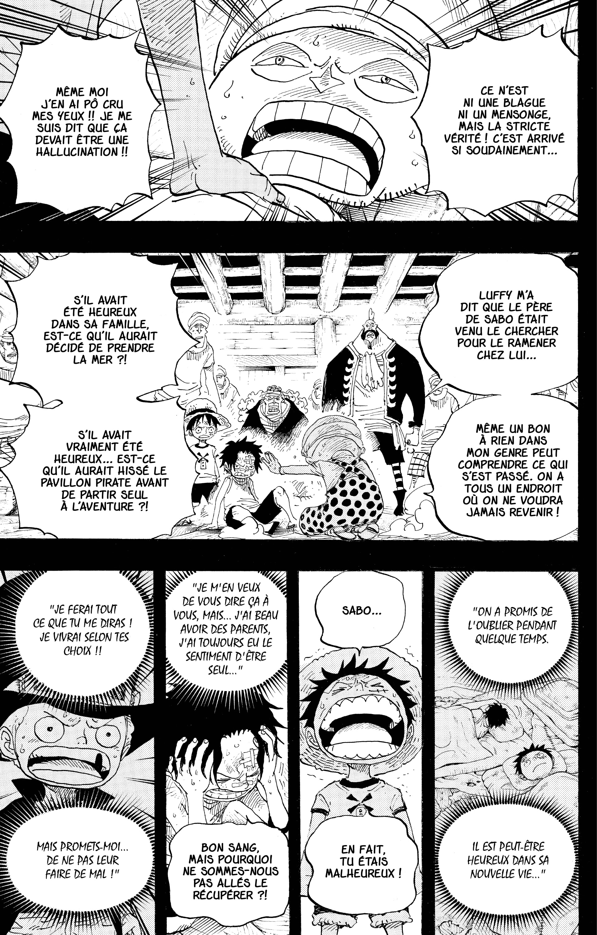 One Piece Chapitre 588 - Page 14