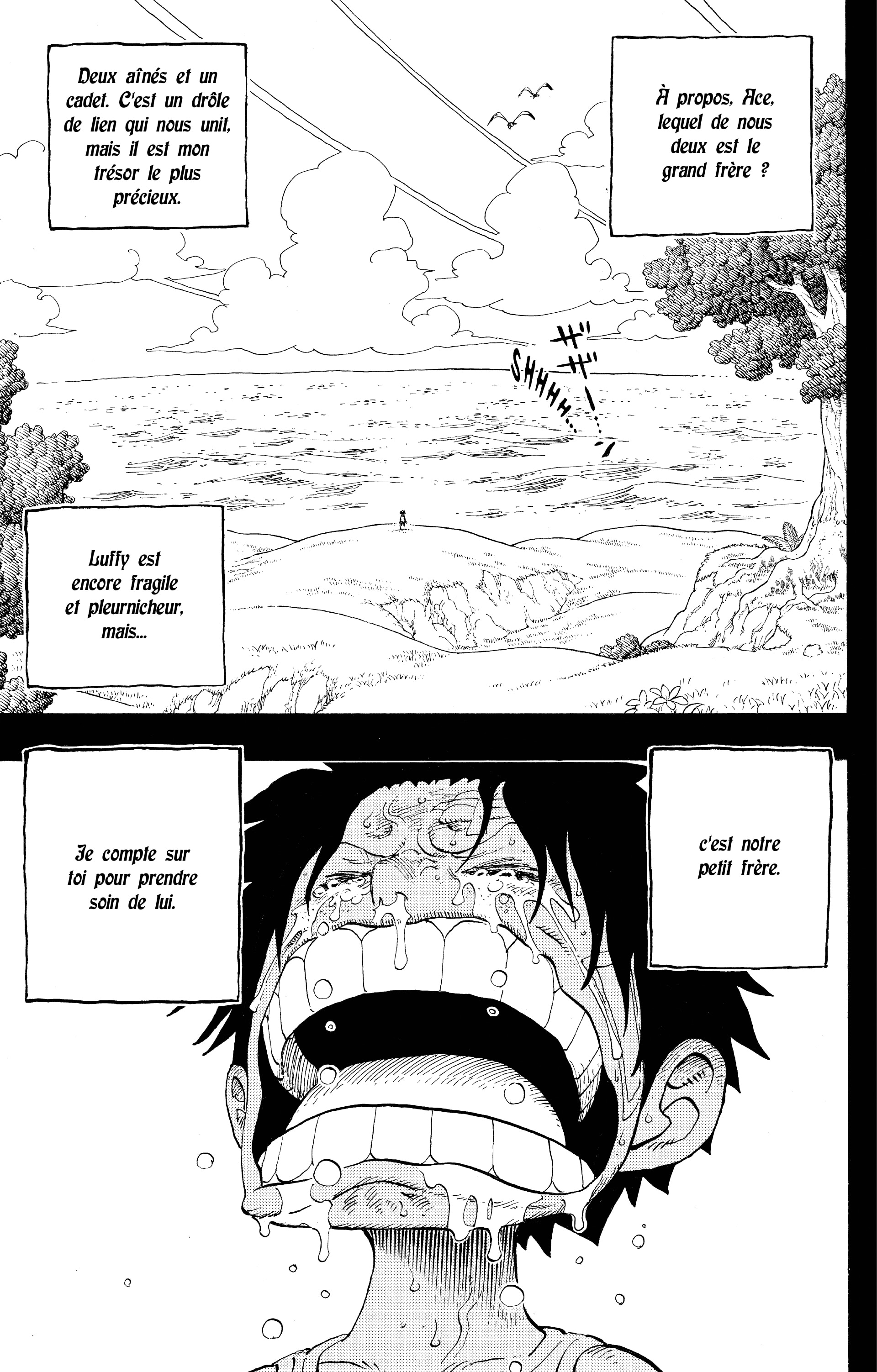 One Piece Chapitre 588 - Page 18