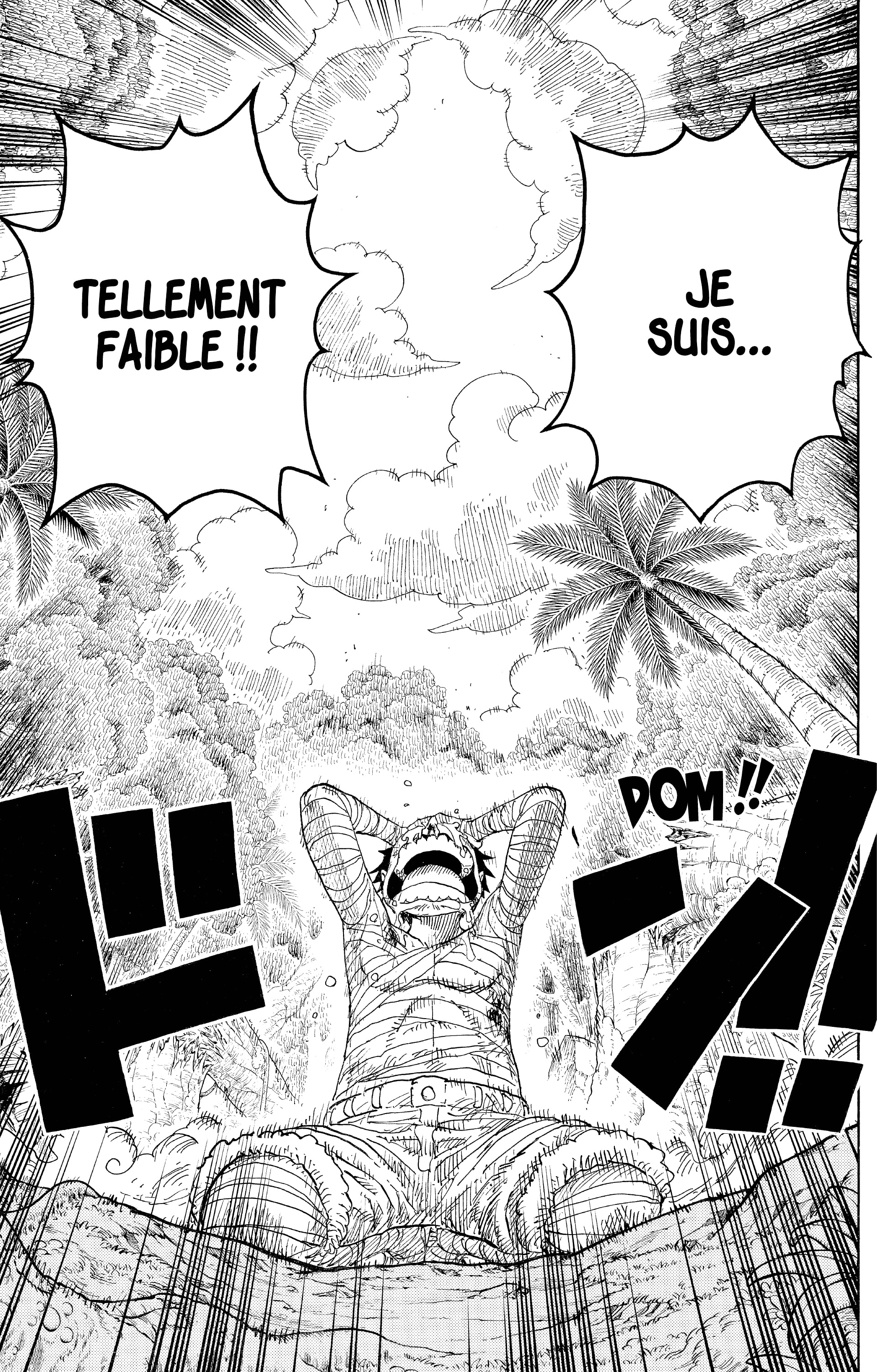 One Piece Chapitre 589 - Page 19